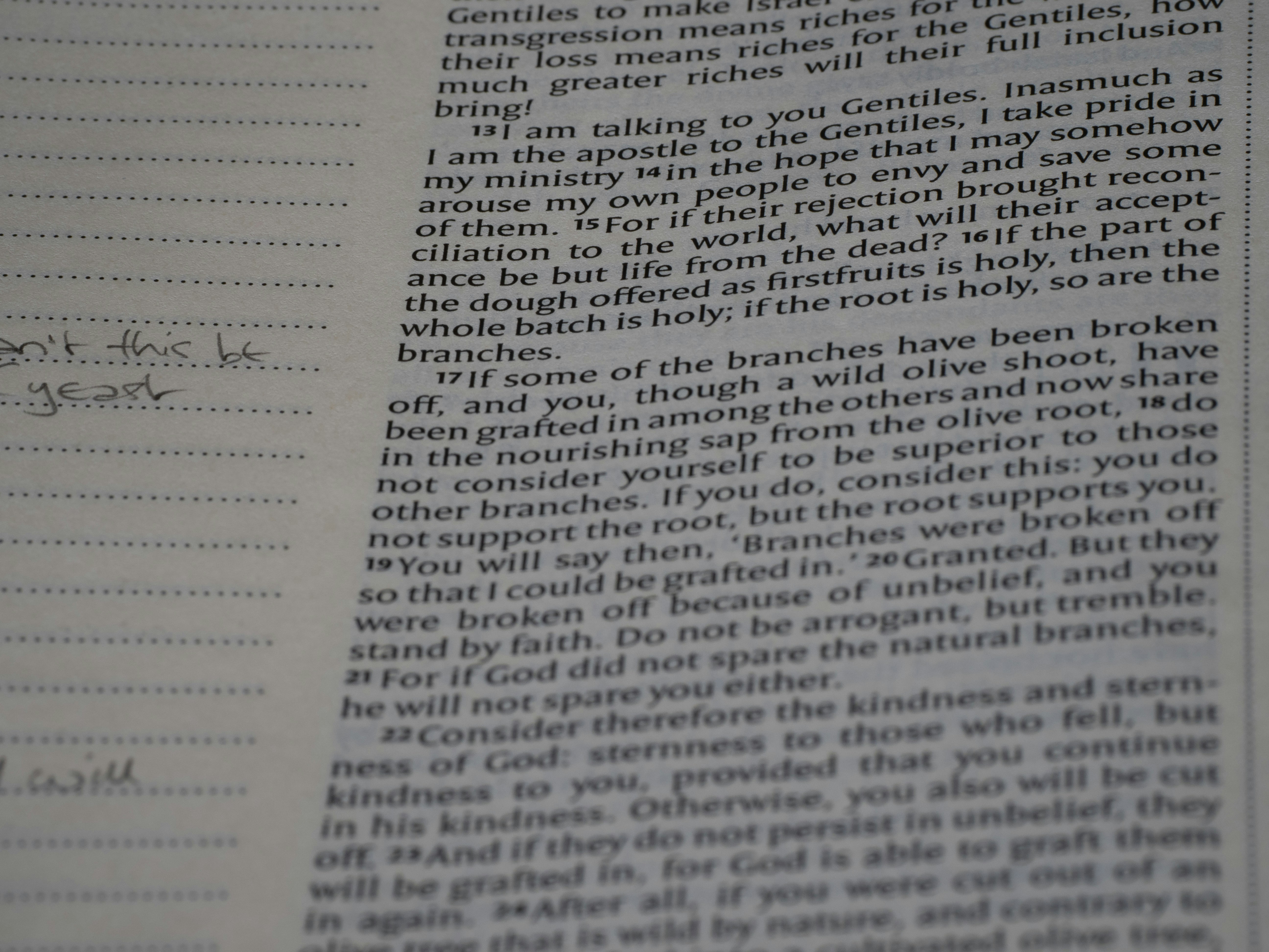 Photo by brett_jordan