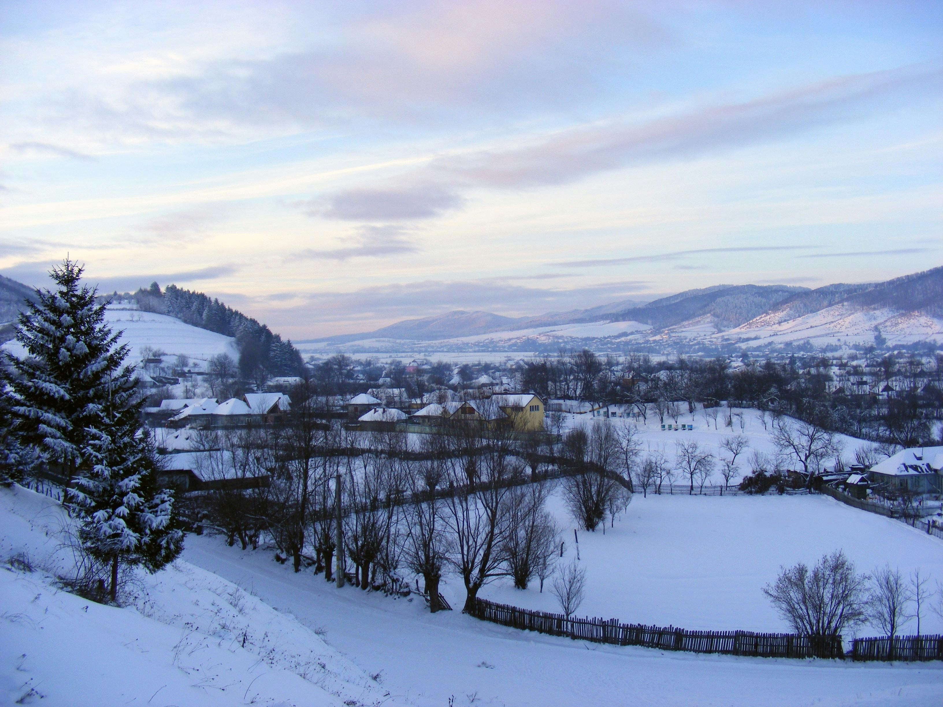 Photo by mirceadrian