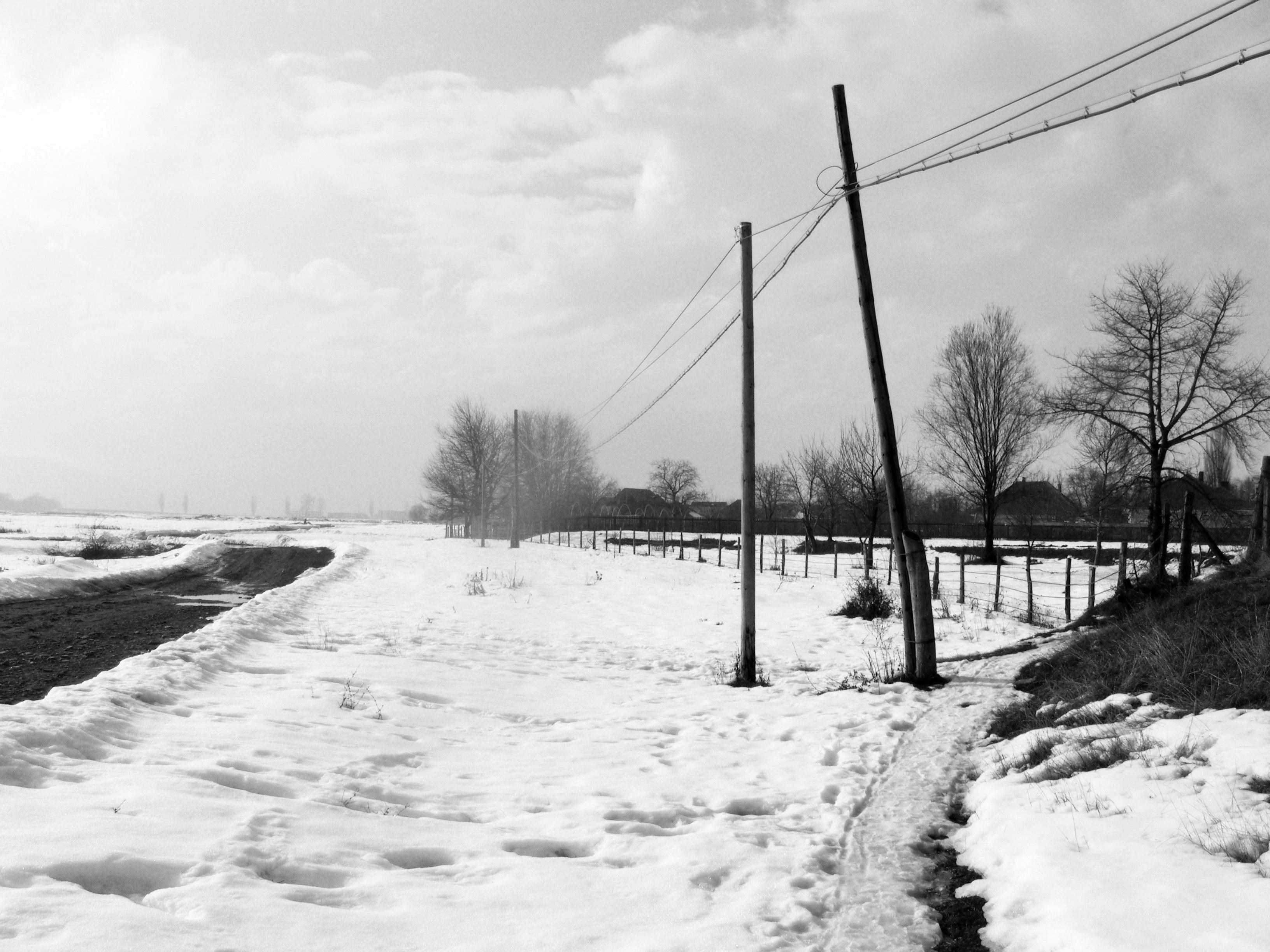 Photo by mirceadrian