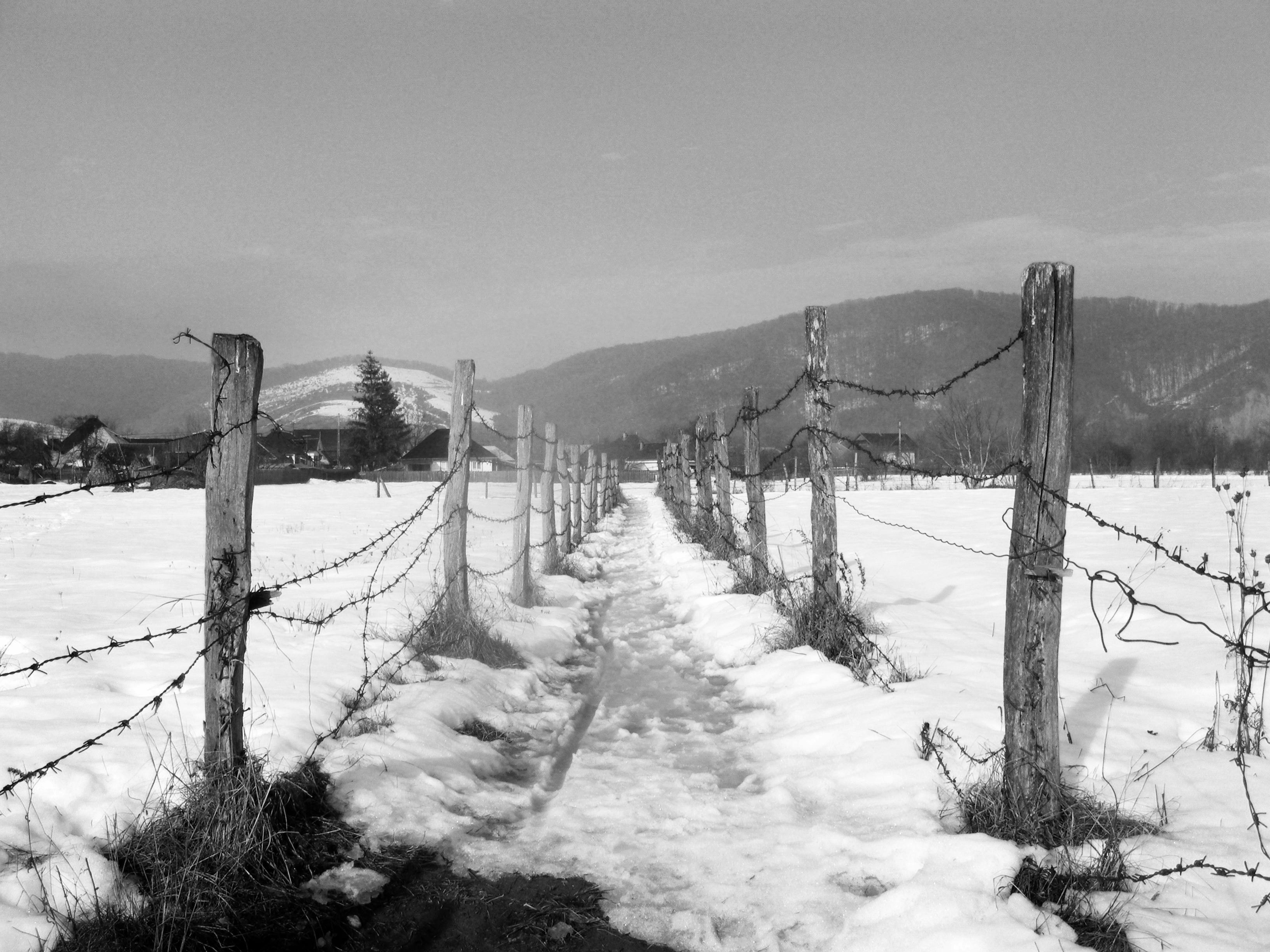 Photo by mirceadrian