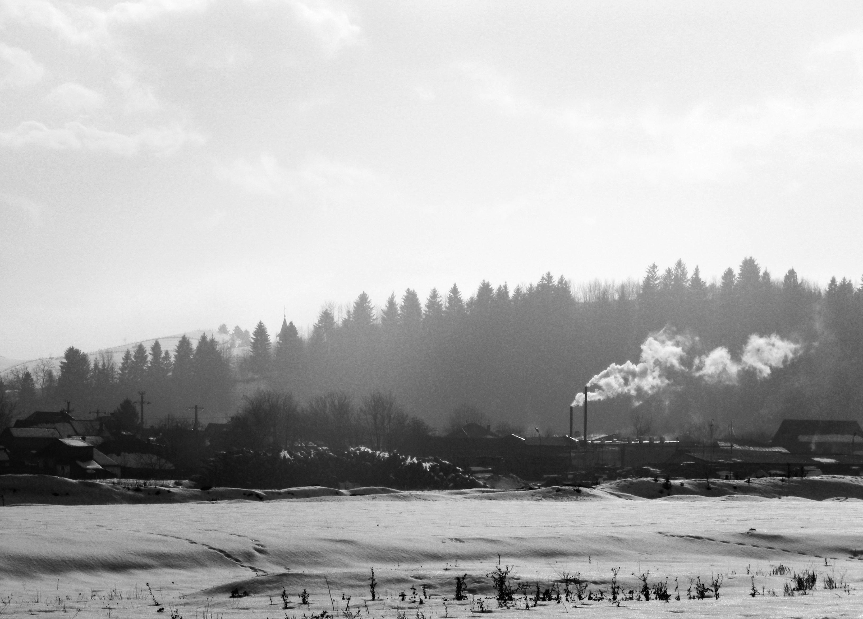 Photo by mirceadrian