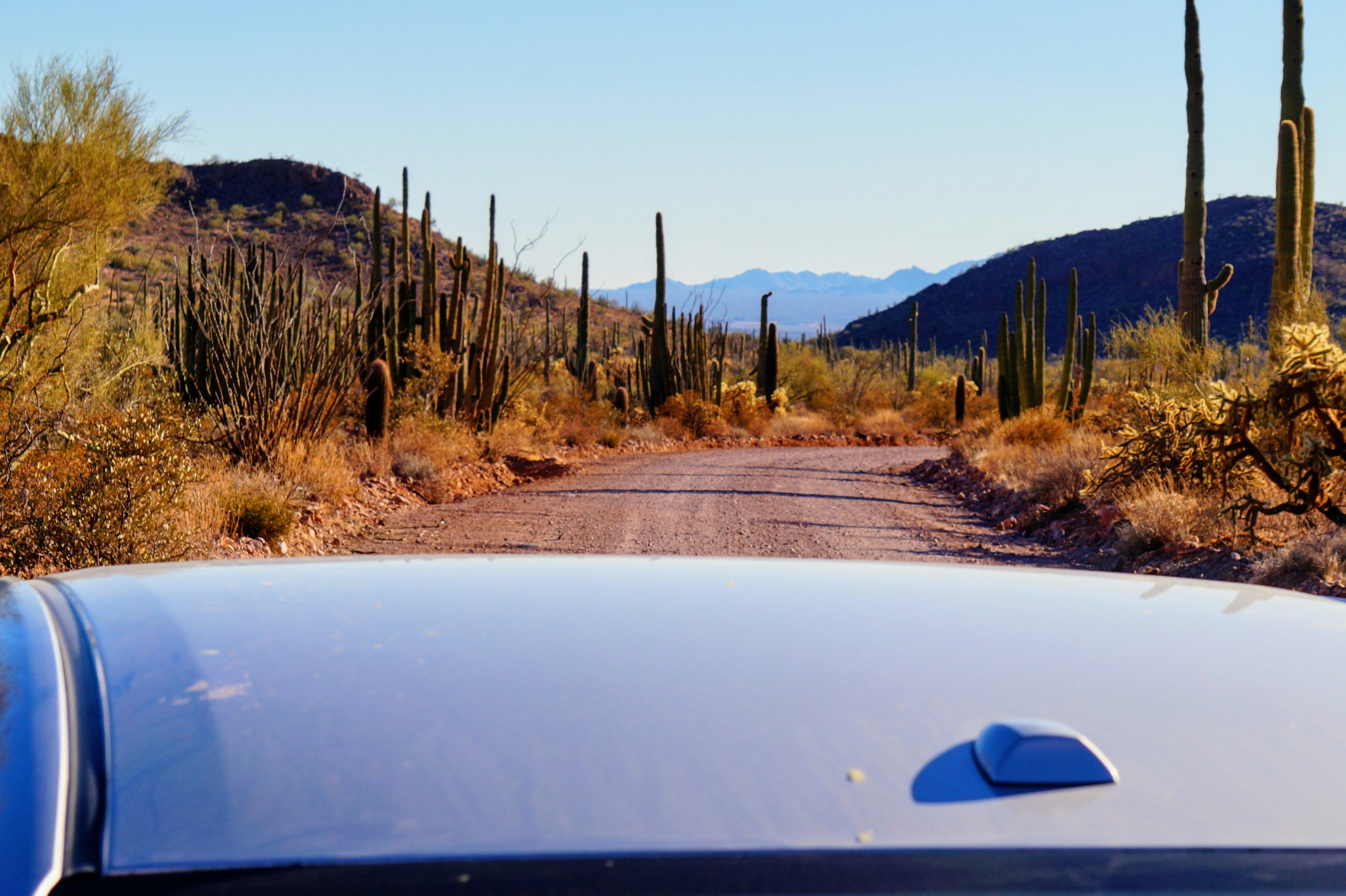 A car driving down a dirt road in the desert