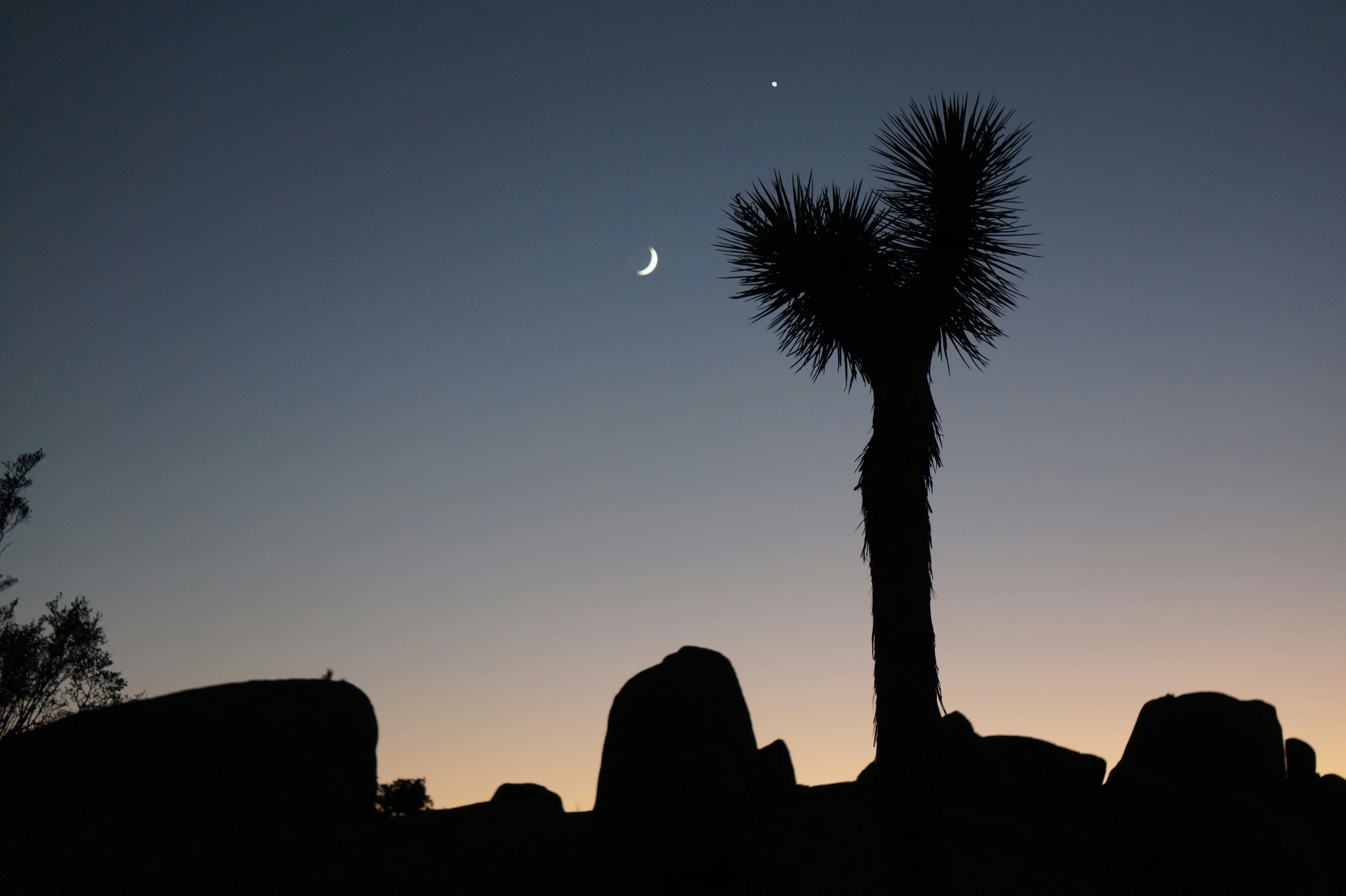 The moon is setting over a desert landscape