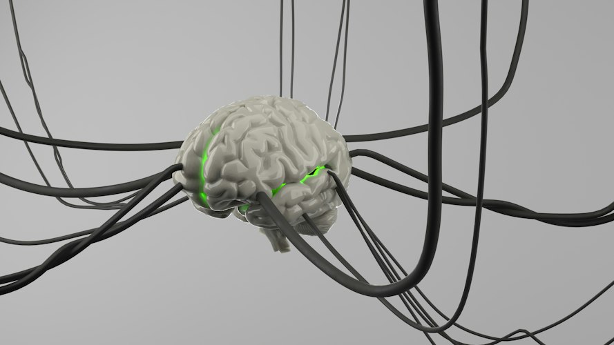 Researcher adjusting electrode equipment in a neuroscience laboratory