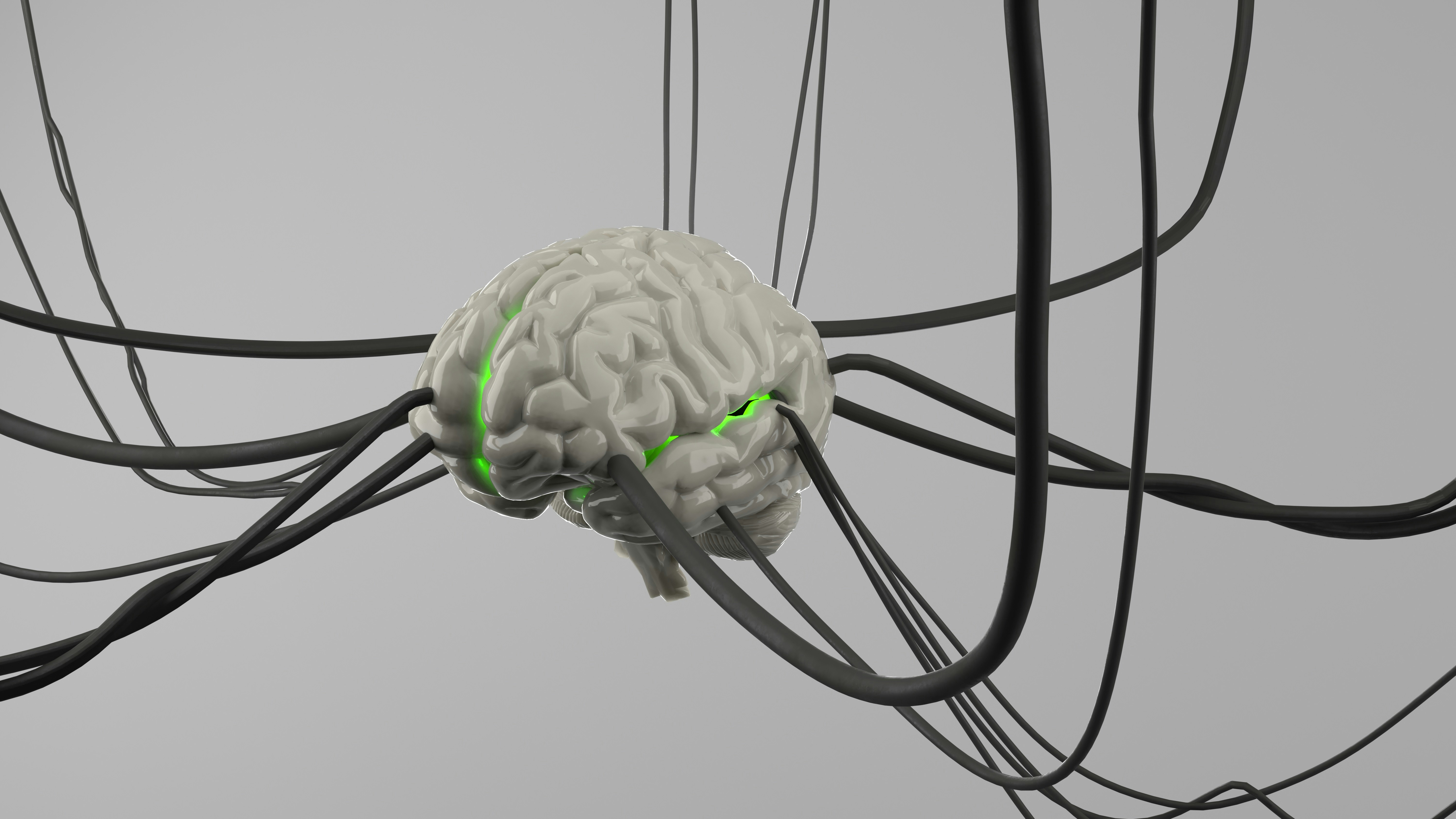 Can Oxalates Cross The Blood-Brain Barrier?