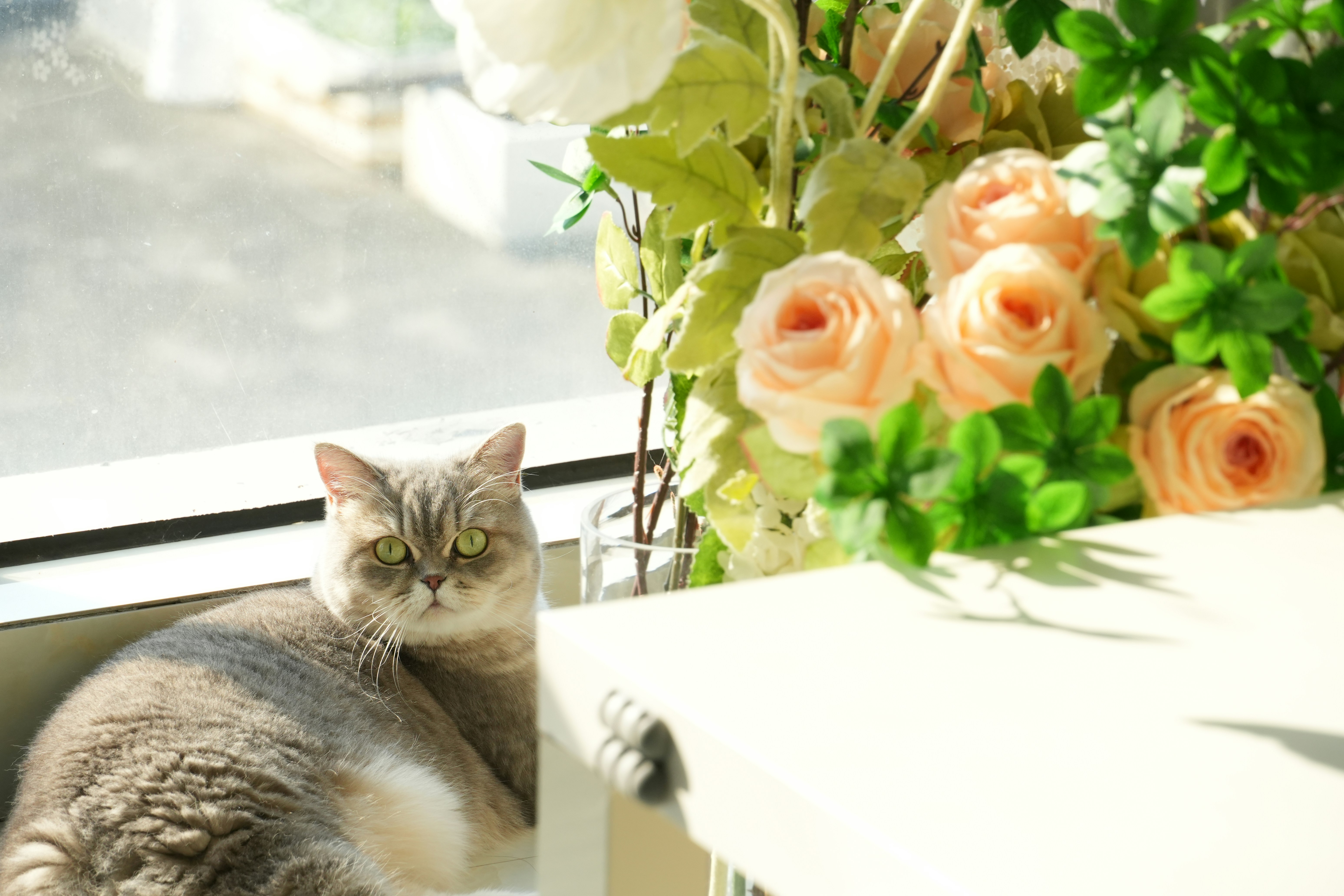 Photo by shirleyyyyyy