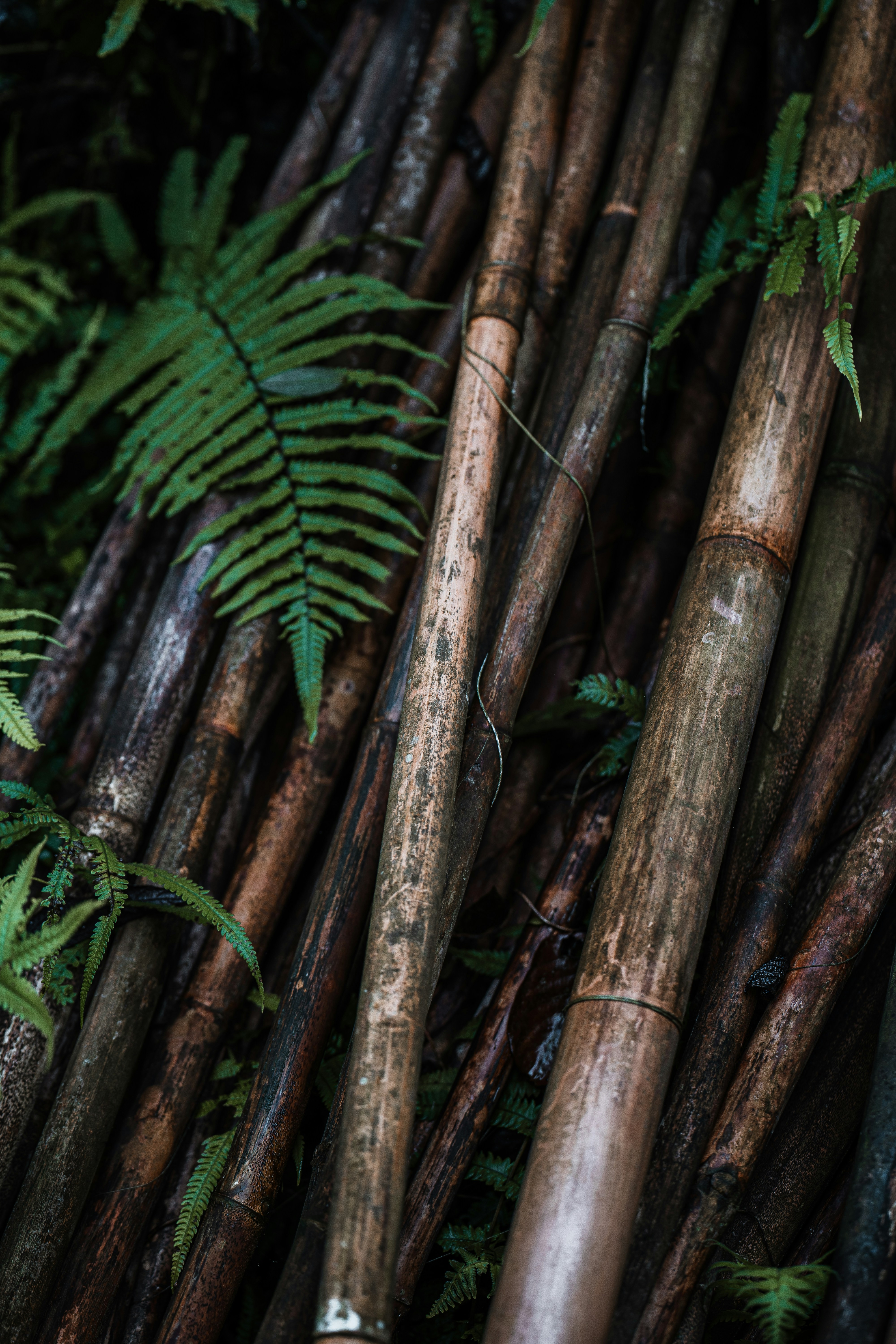 Photo by benjamin_photo_lab