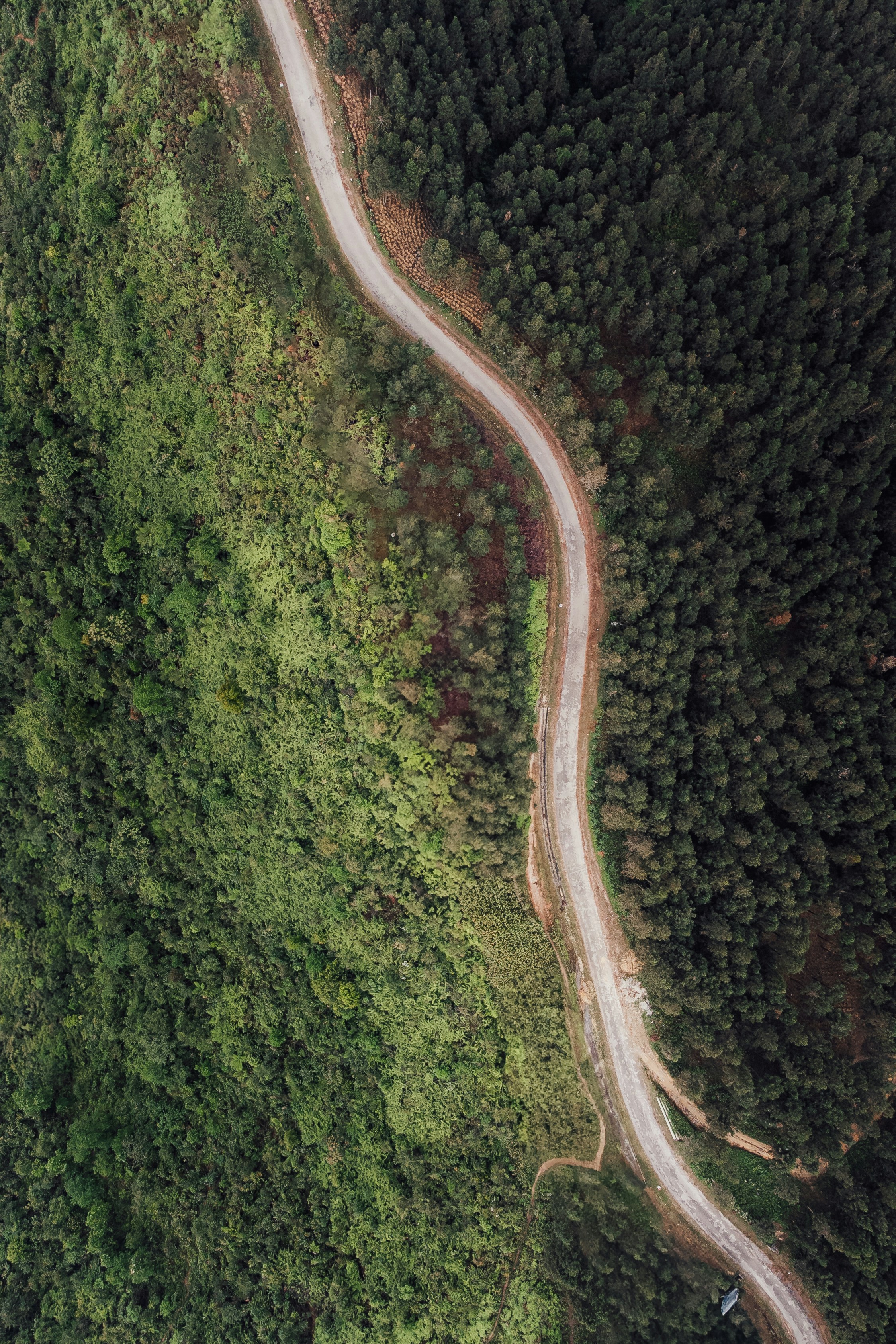 Photo by benjamin_photo_lab