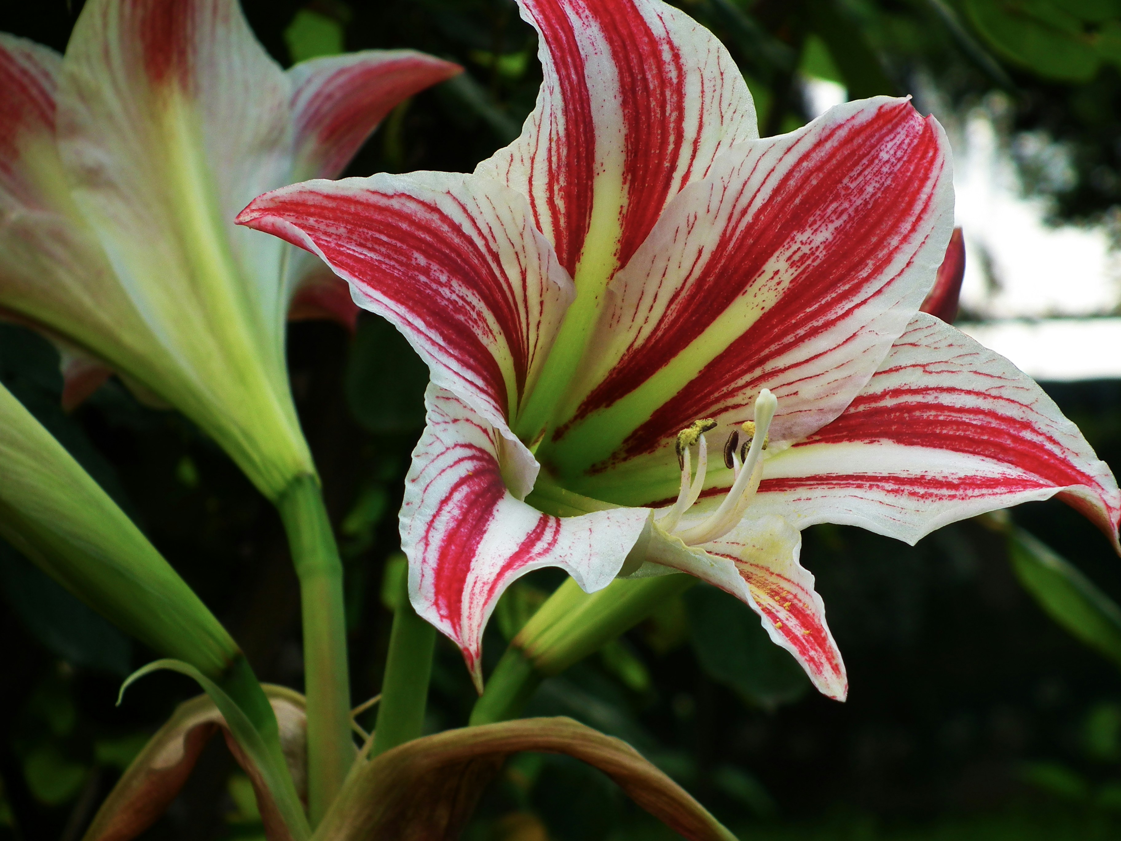 Photo by karakolcubars