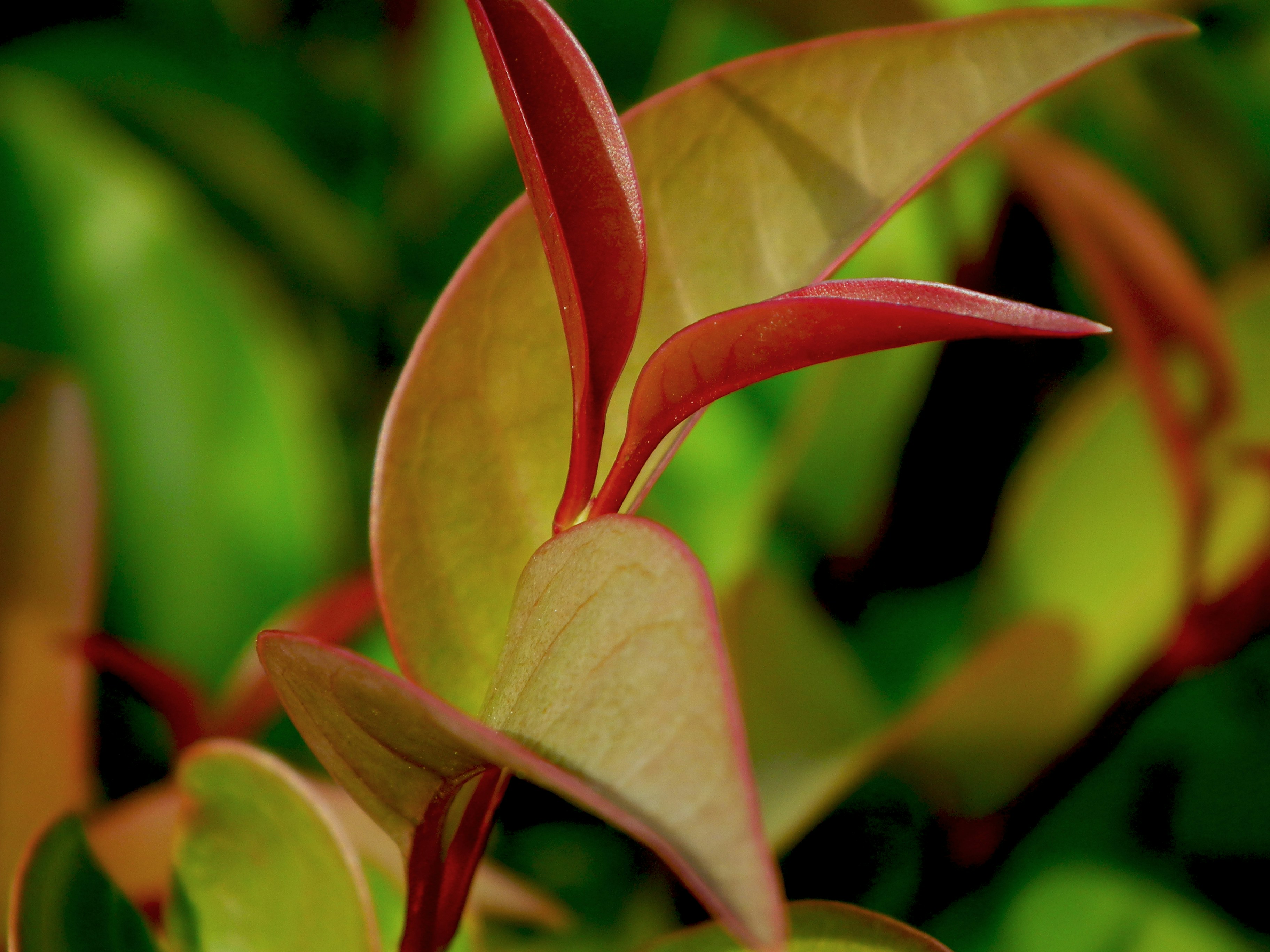 Photo by karakolcubars