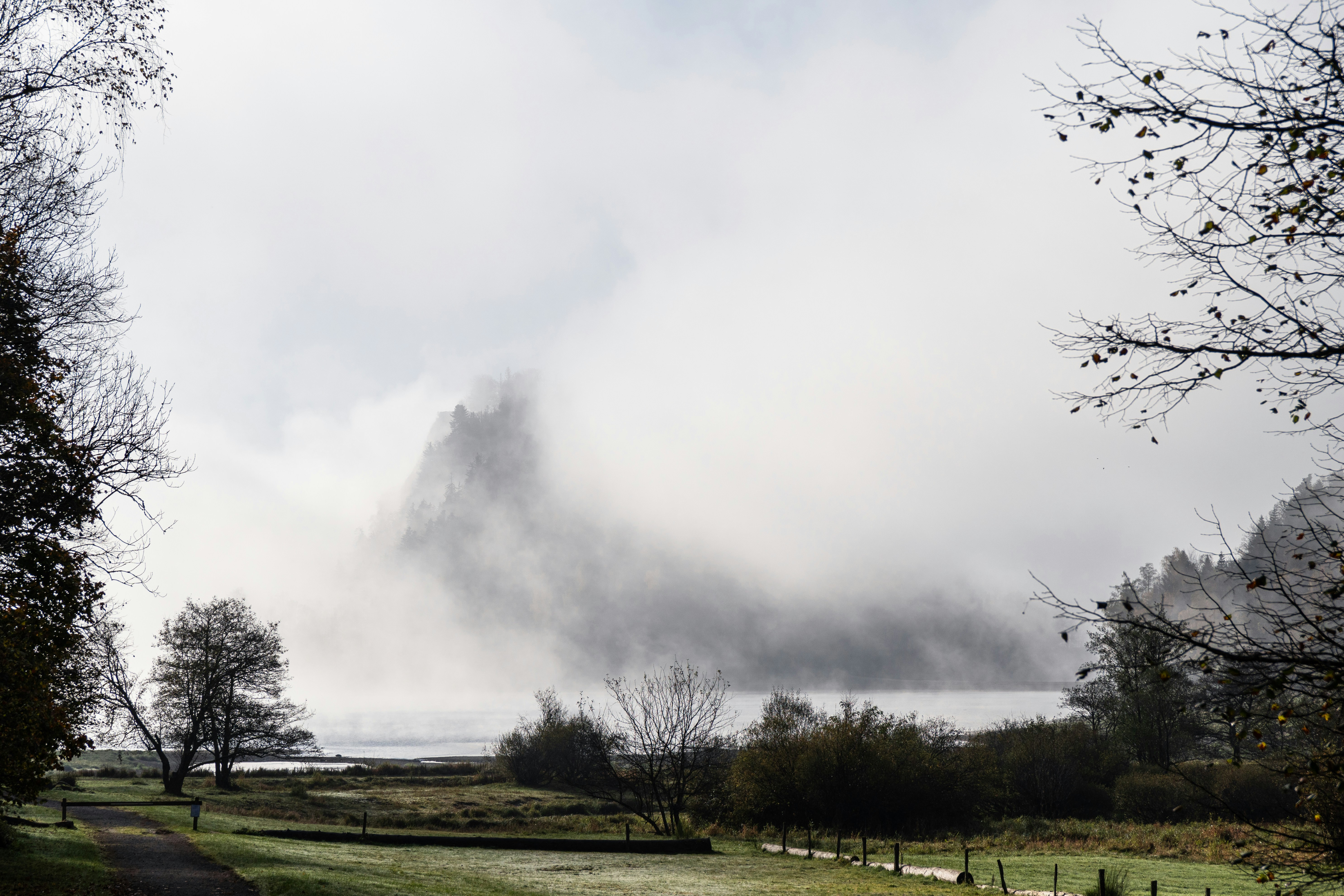 A grassy field with trees and a hill in the background