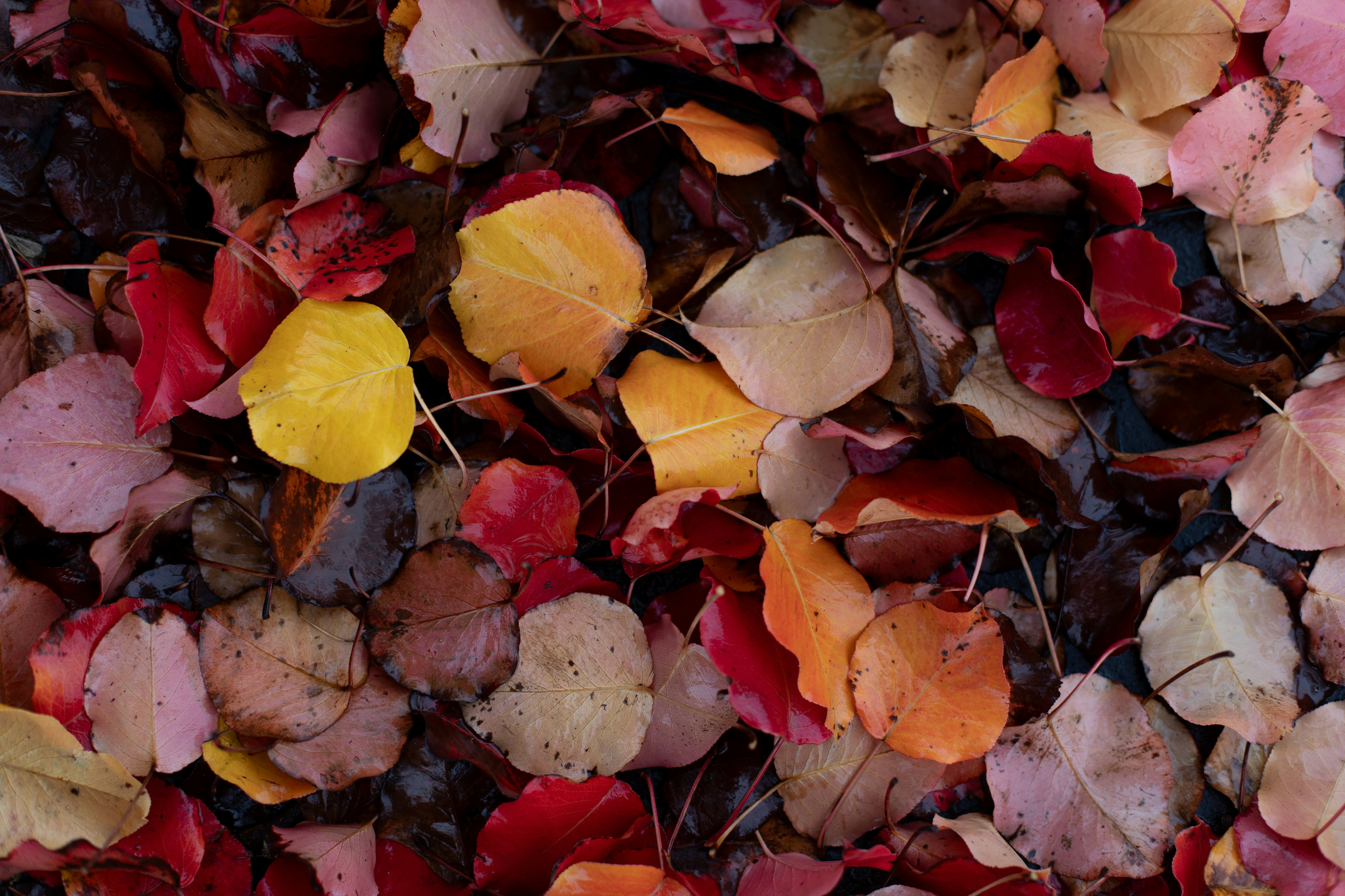 Photo by sixteenmilesout