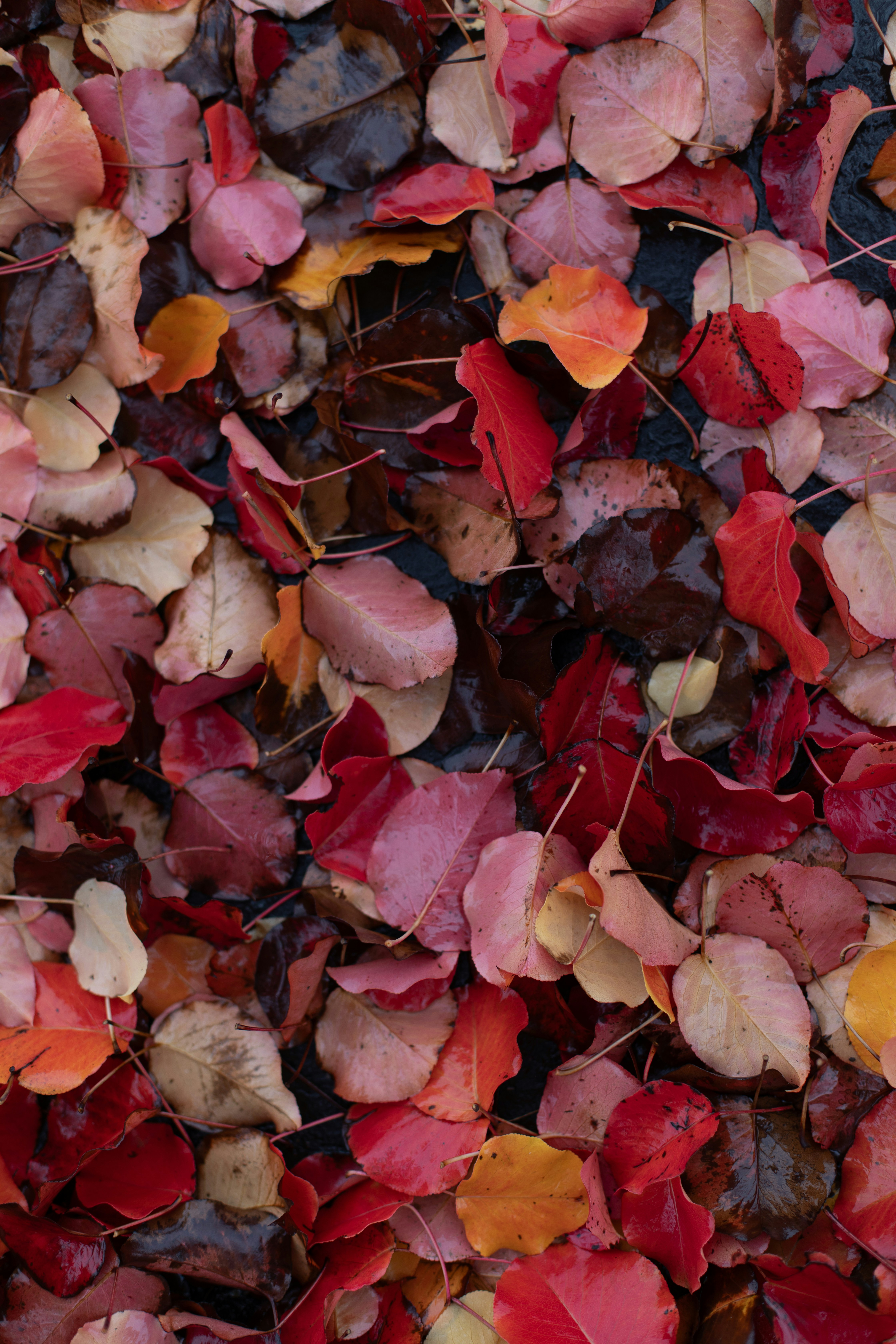 Photo by sixteenmilesout