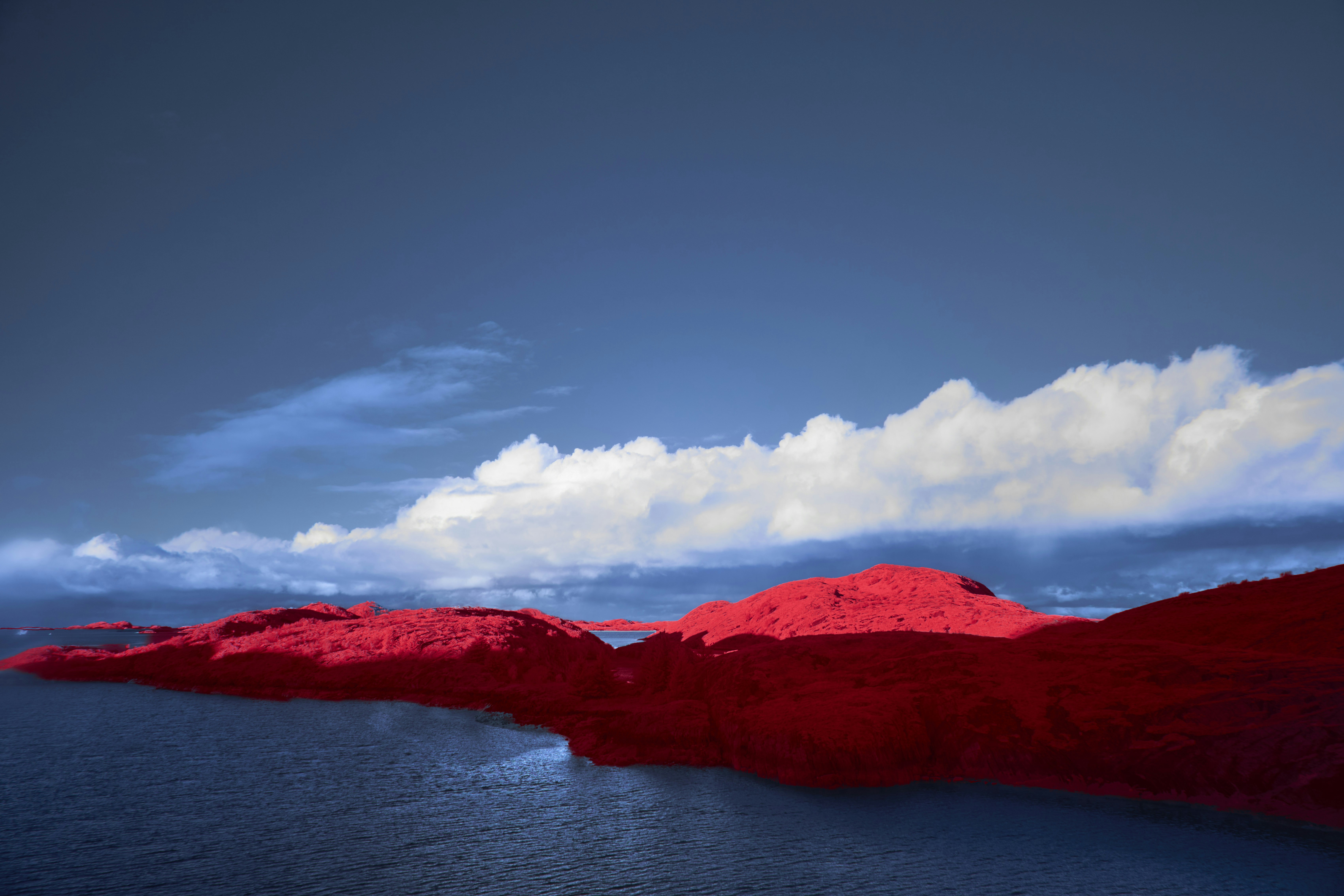 Photo by wolfgang_hasselmann