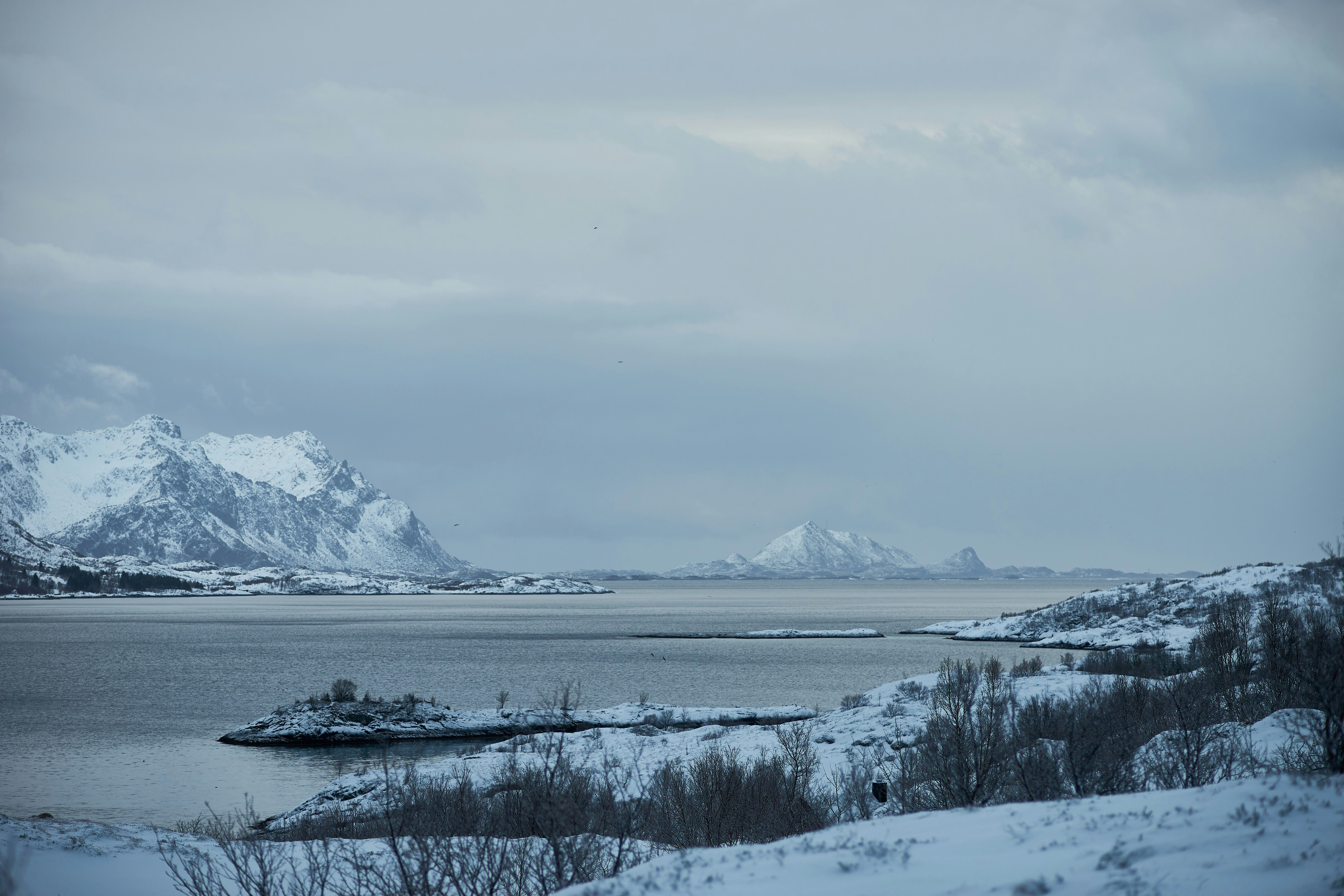 Photo by wolfgang_hasselmann