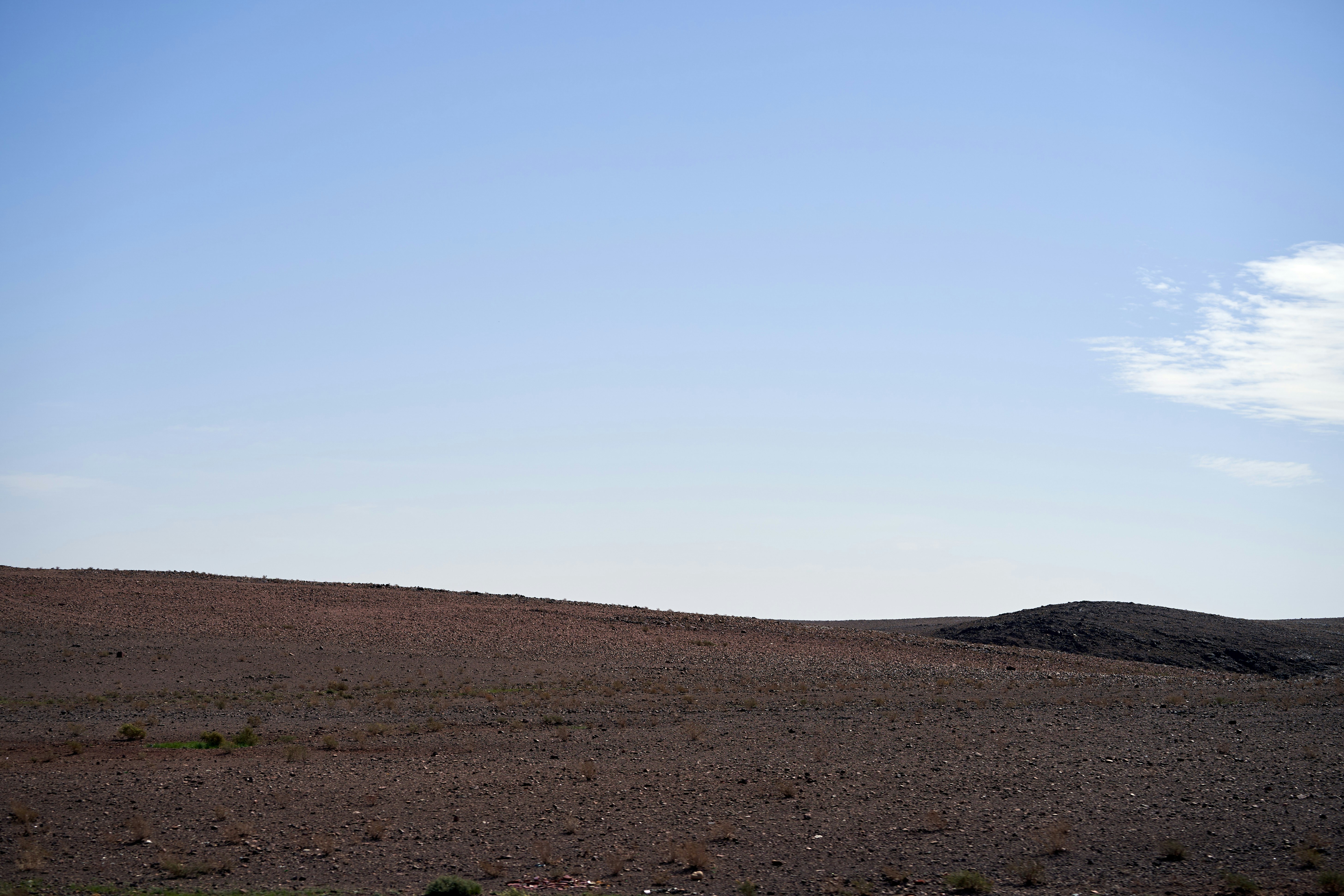 Photo by wolfgang_hasselmann