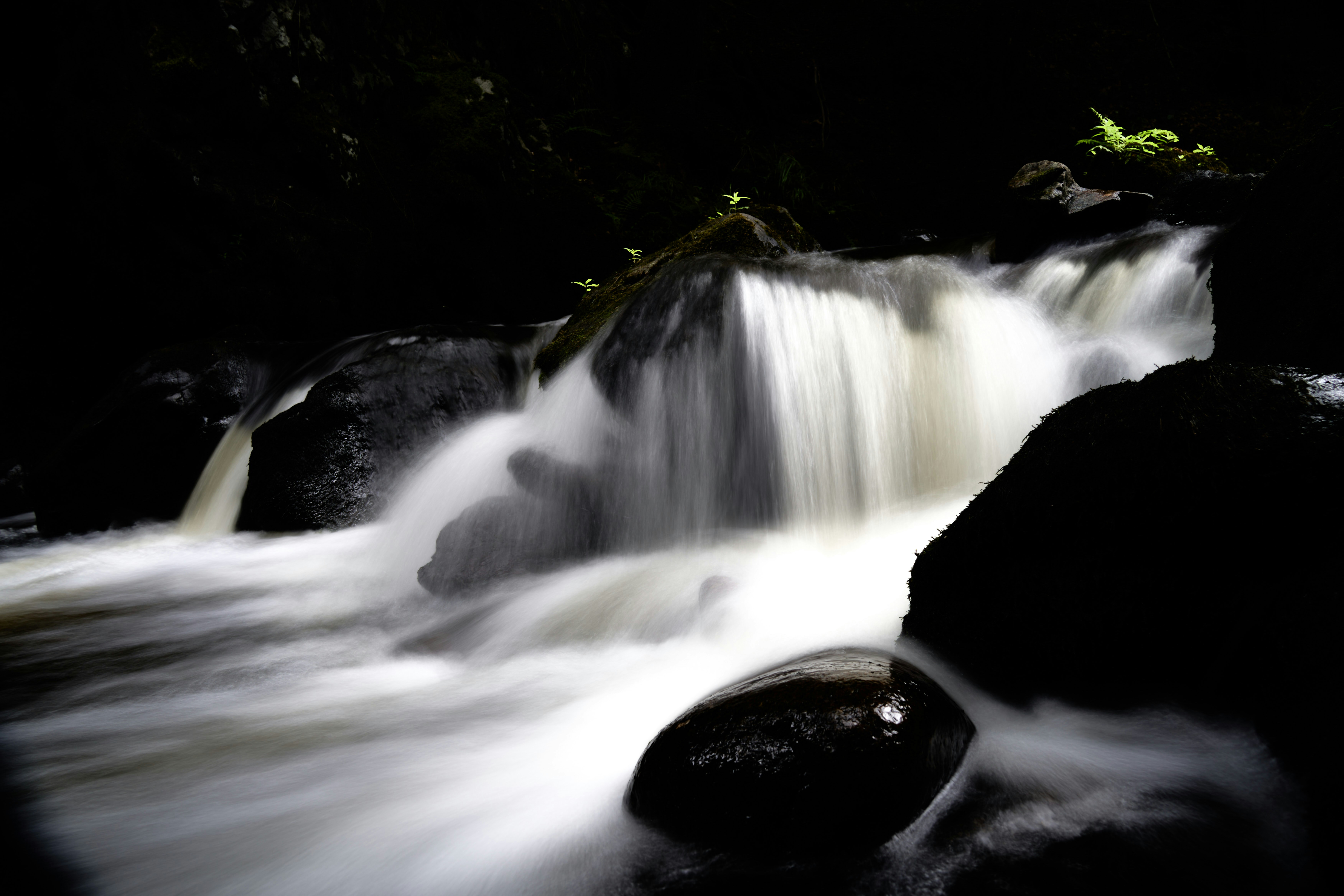 Photo by wolfgang_hasselmann