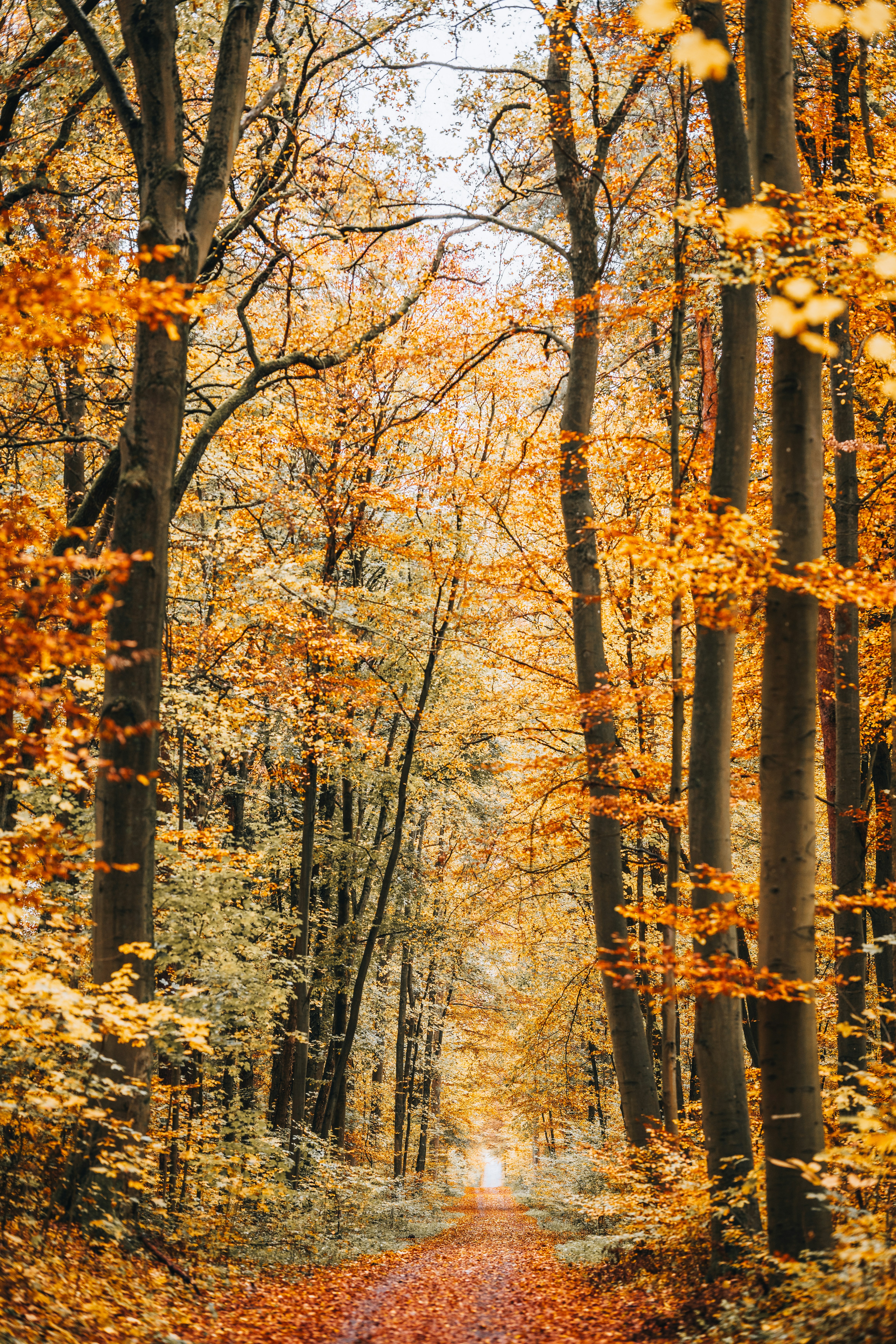 Photo by masoodaslami