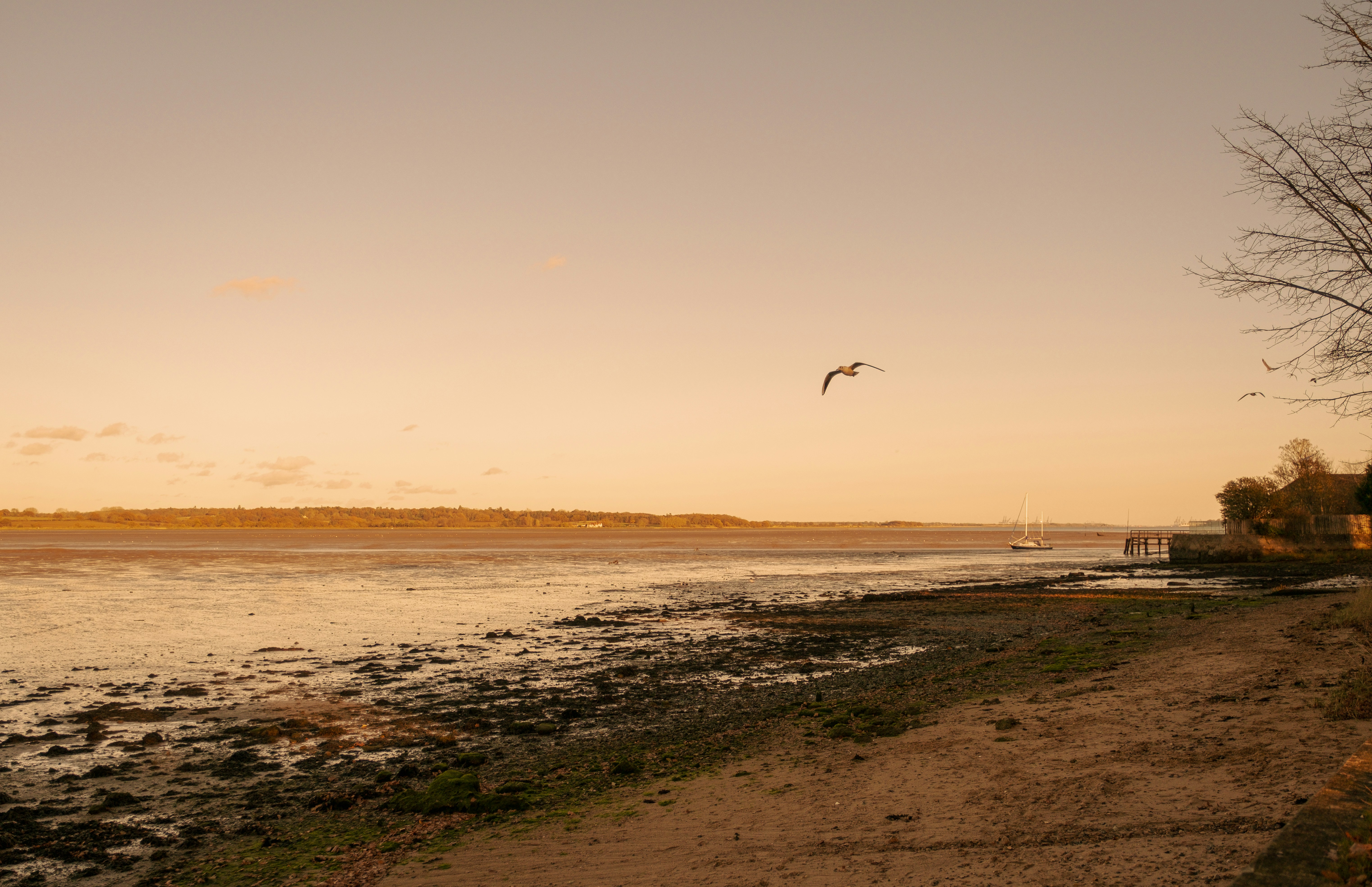 photo-1732721176807-aed6d49a0eee?ixid=M3wxMjA3fDB8MXxzZWFyY2h8MXx8d2VlZCUyMHVrfGVufDB8fHx8MTc2OTM2MzY0OXww\u0026ixlib=rb-4.1.0