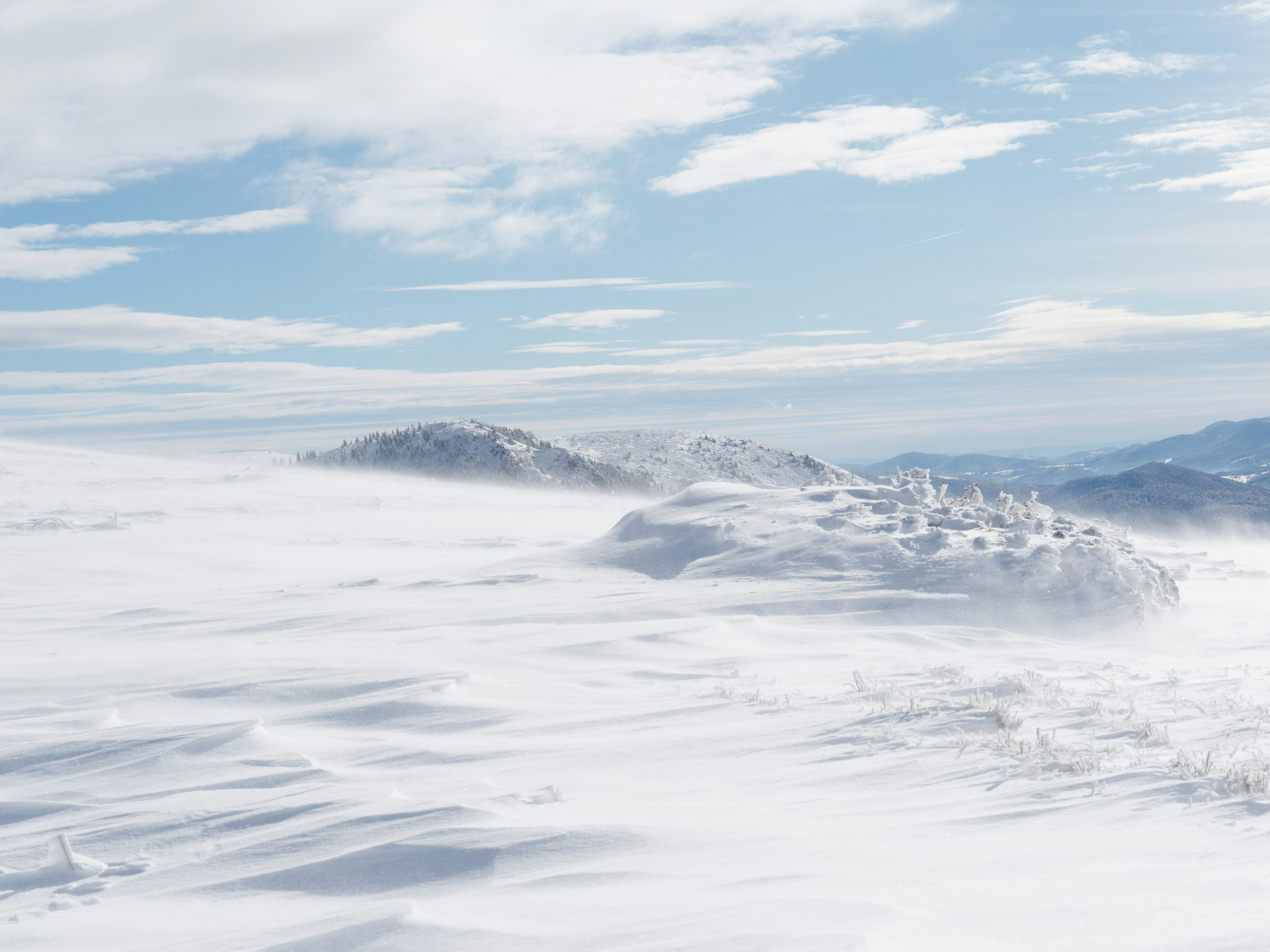 Photo by illes_cristi