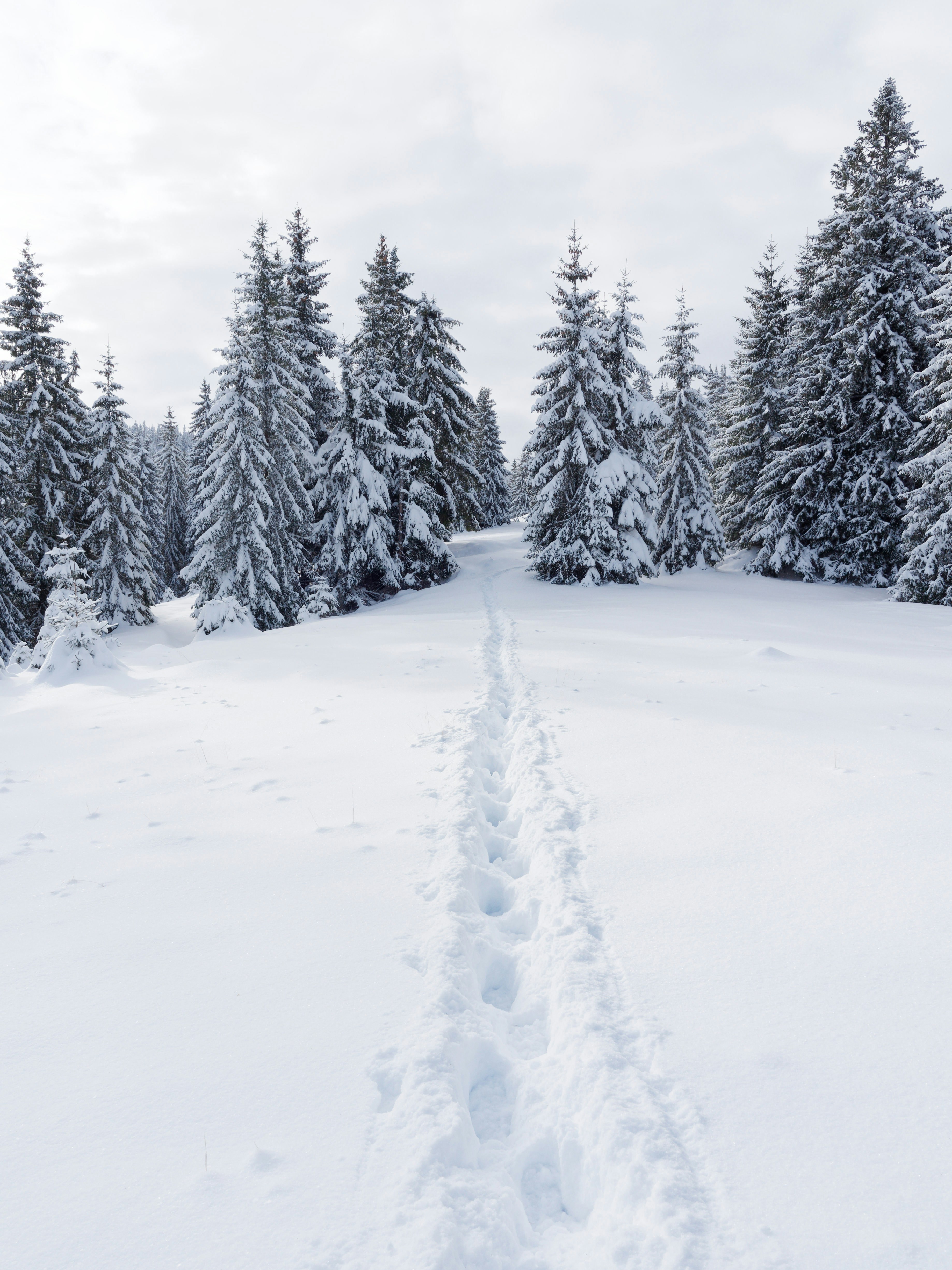 Photo by illes_cristi