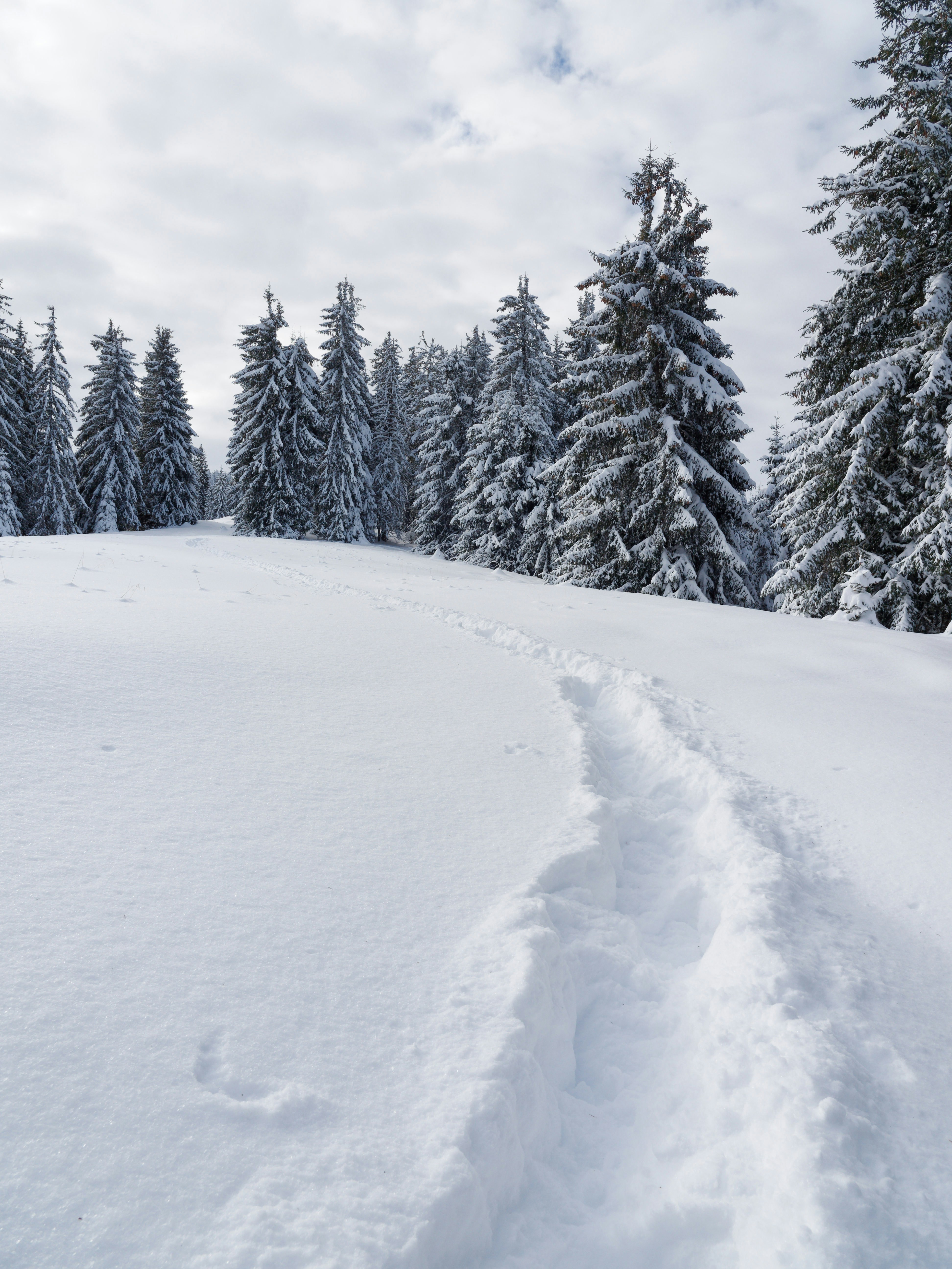 Photo by illes_cristi