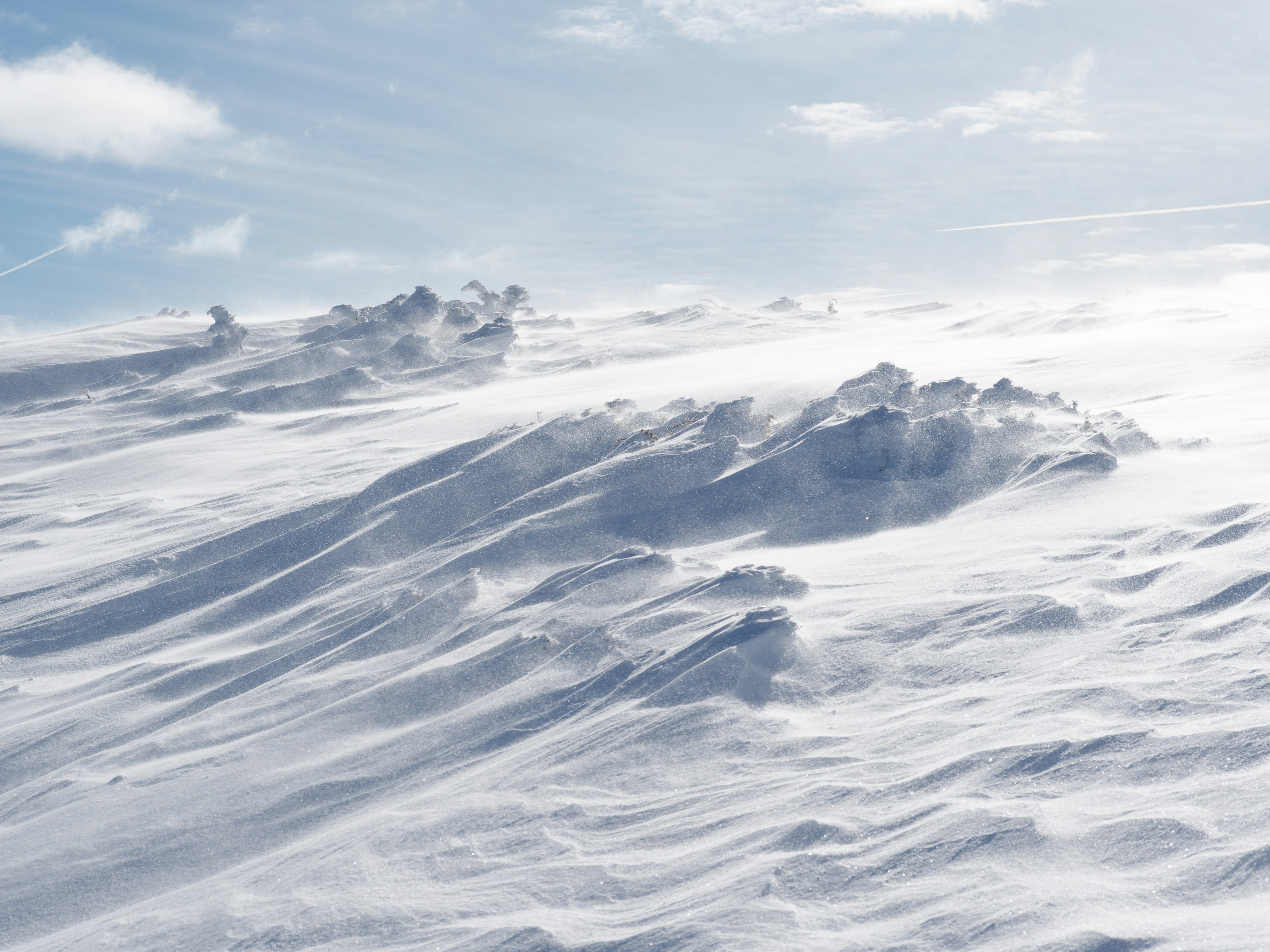 Photo by illes_cristi