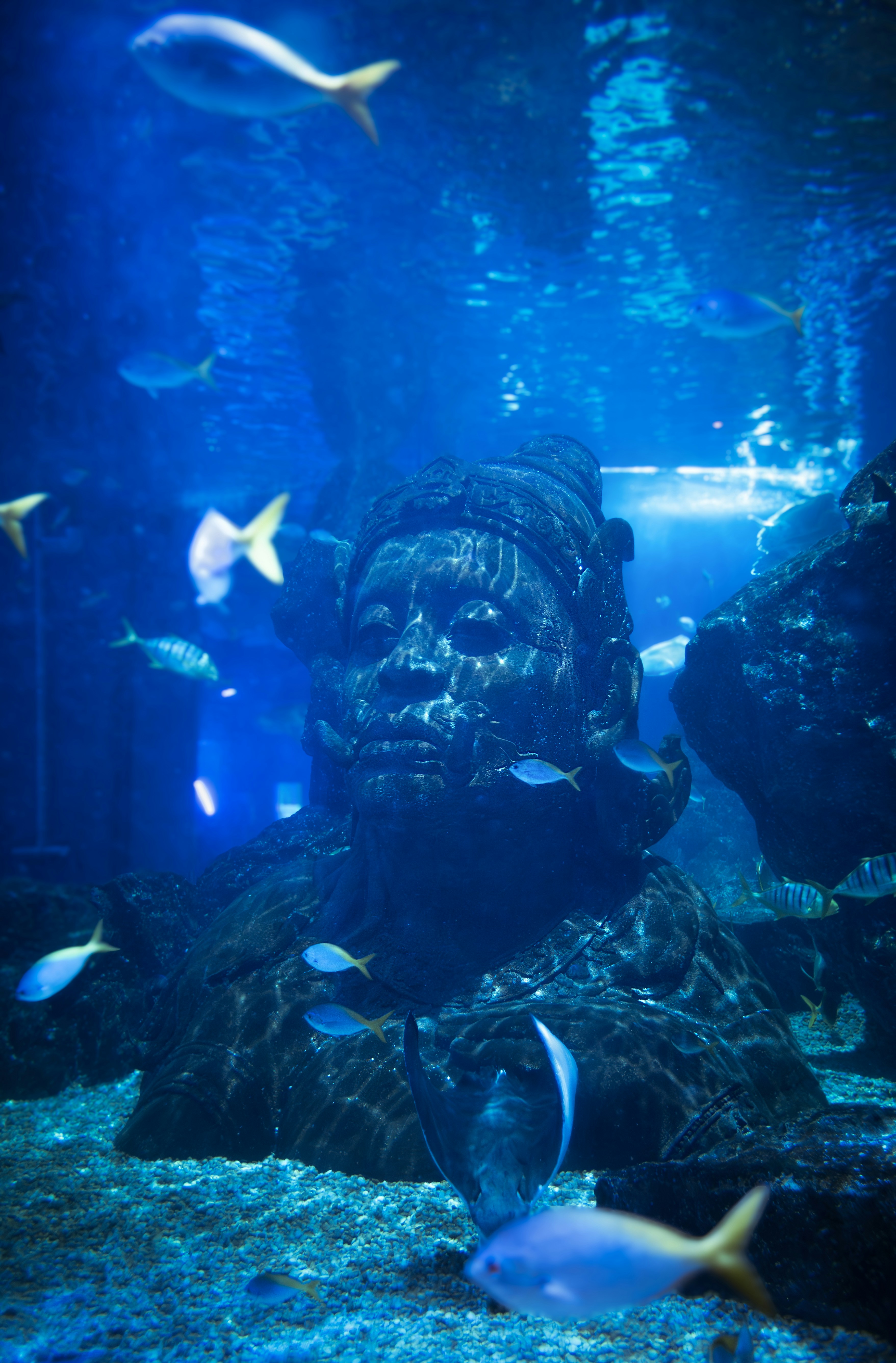 A statue of a man surrounded by fish