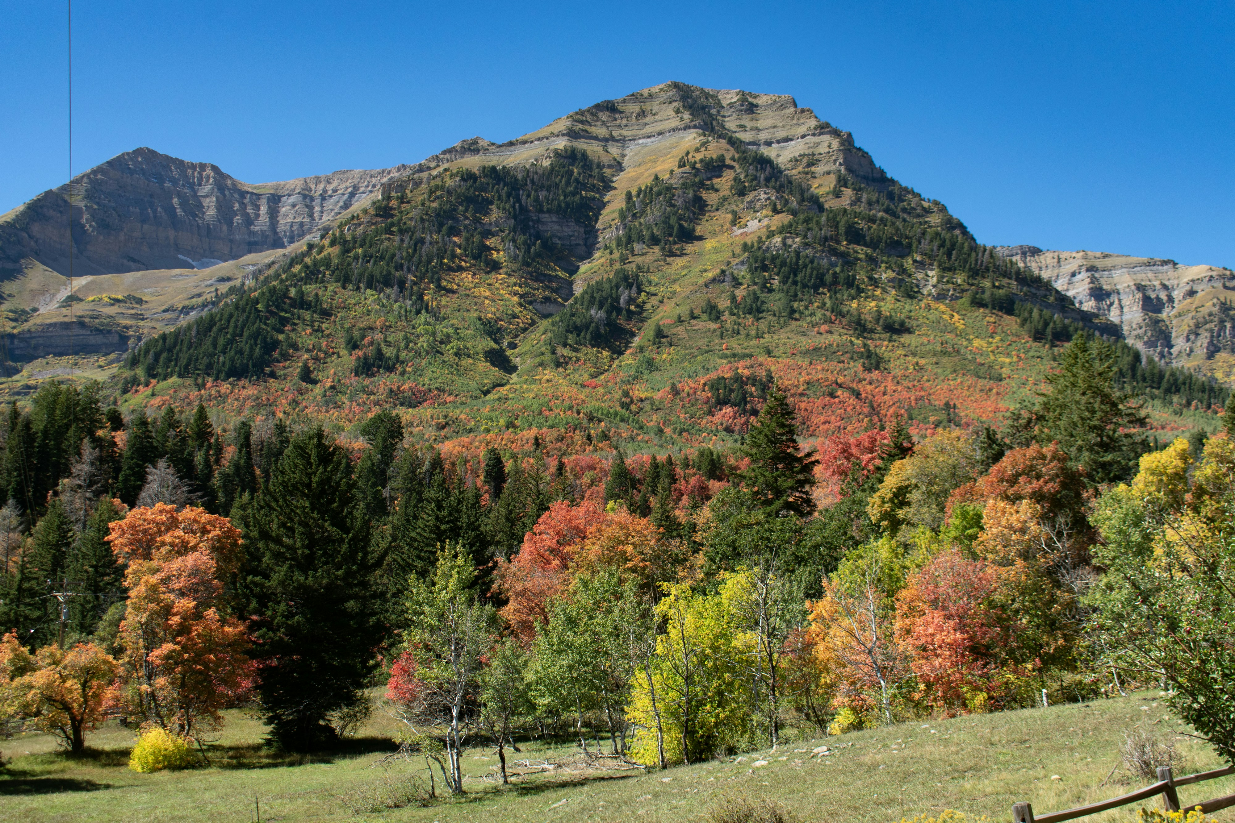 Photo by ukprajapati