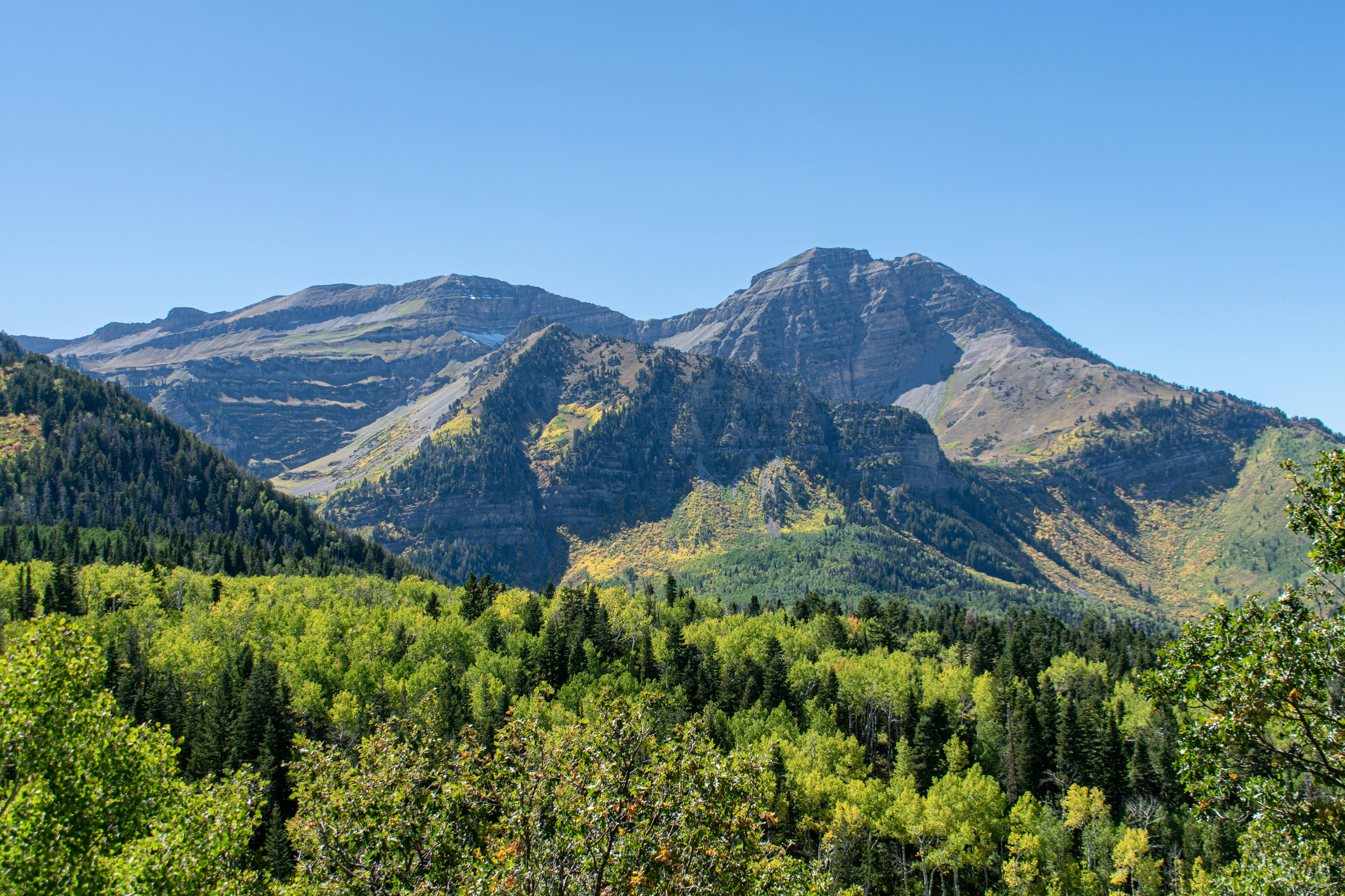 Photo by ukprajapati