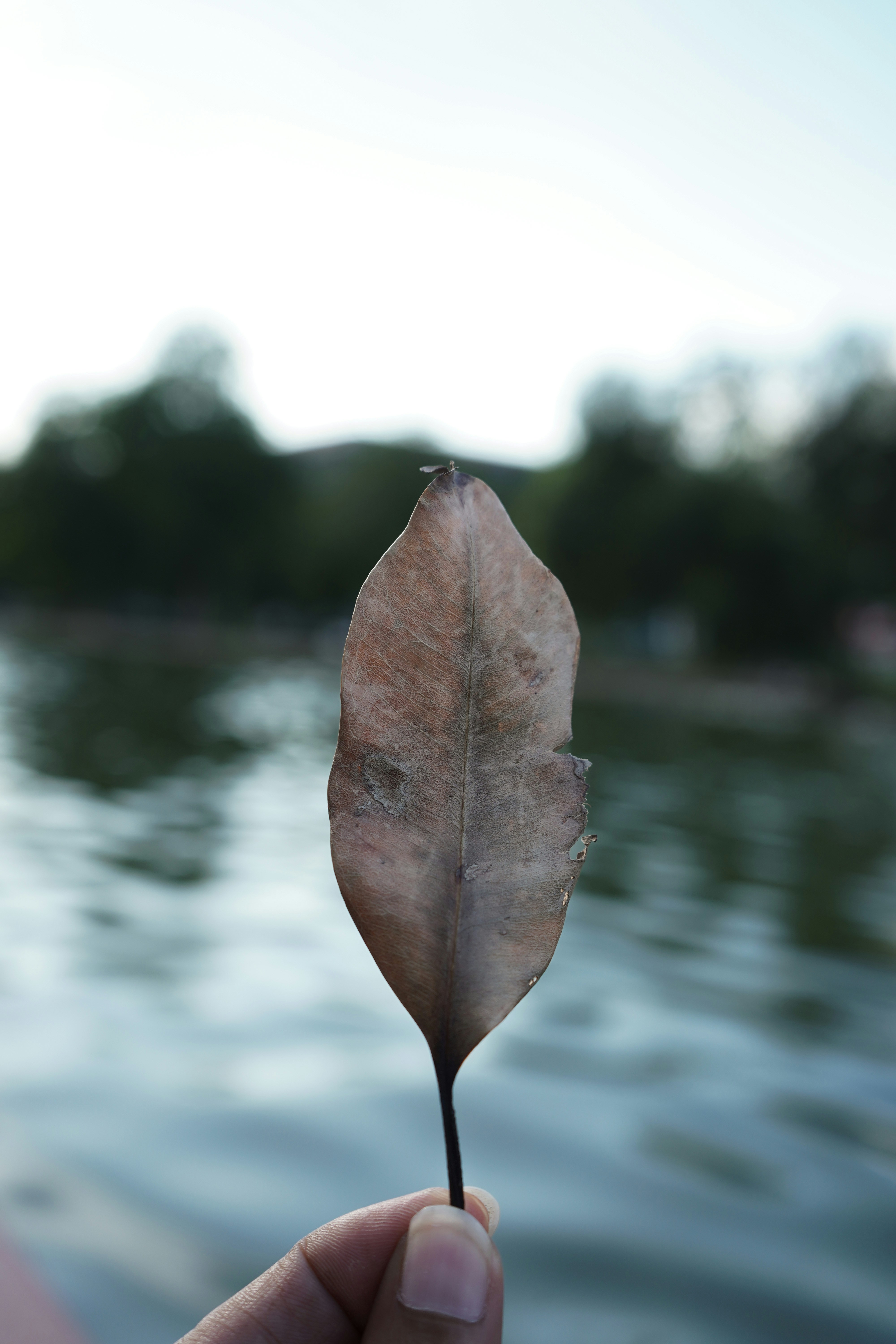 Photo by rahulhimkar