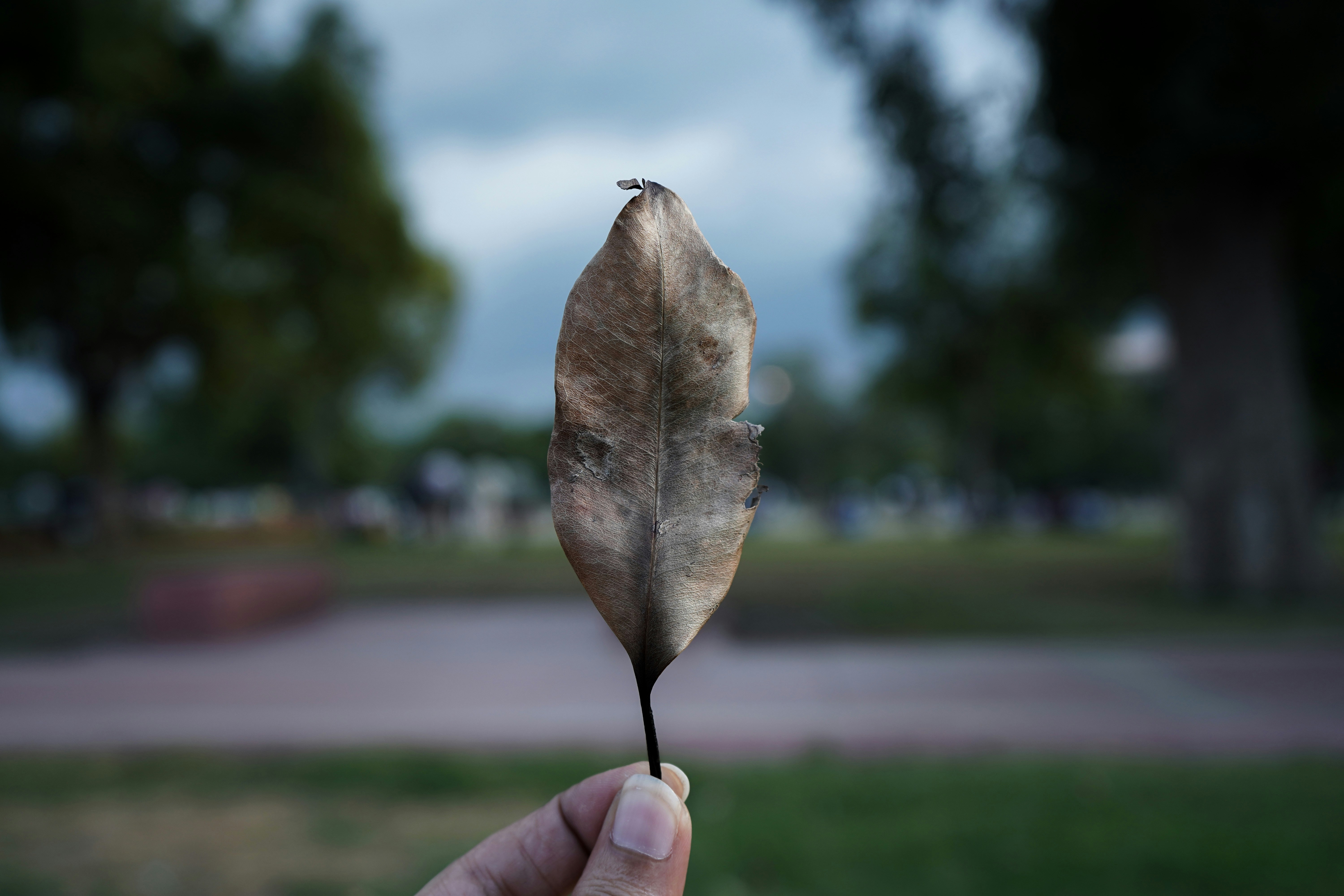 Photo by rahulhimkar