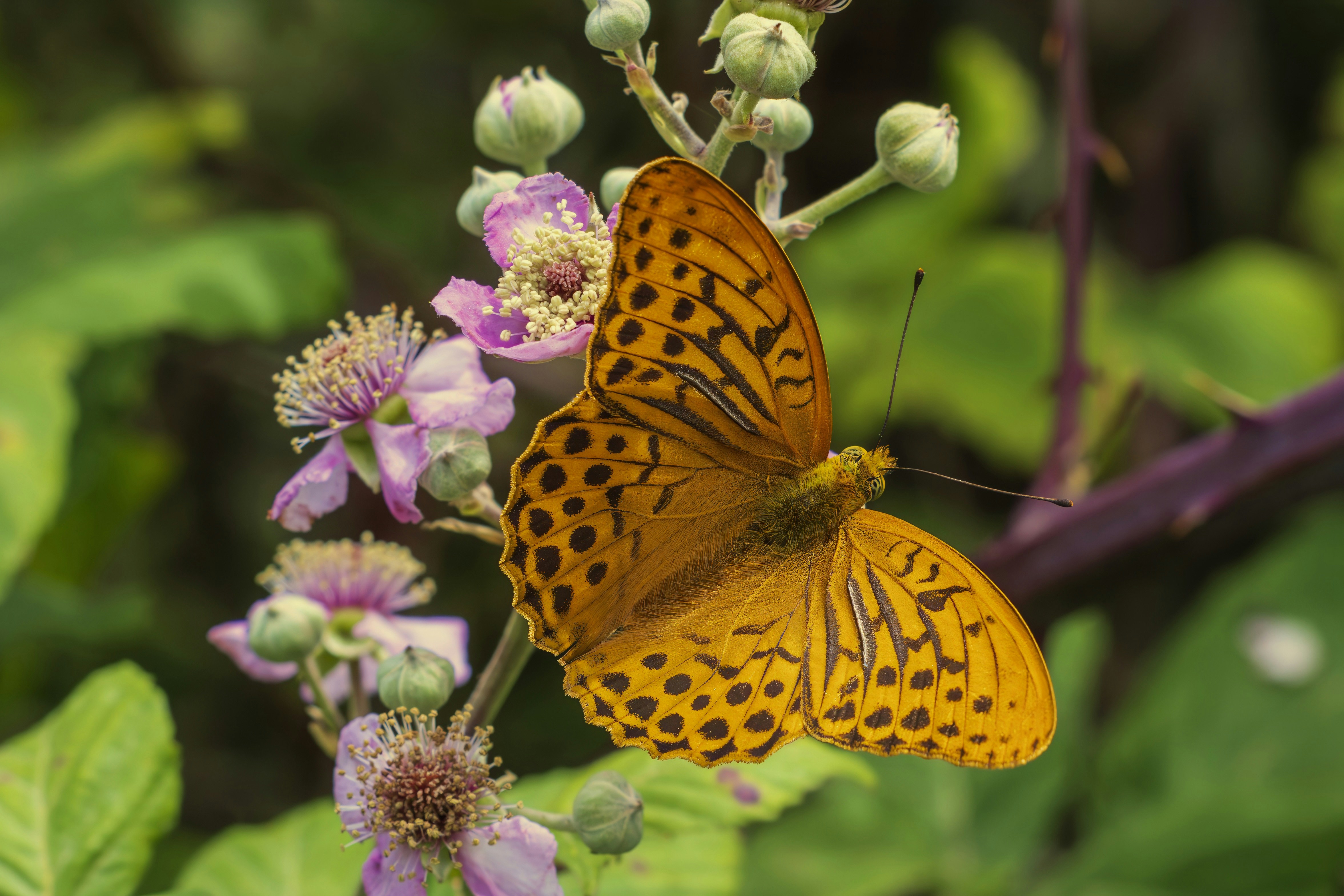 Photo by alfonsogarrido