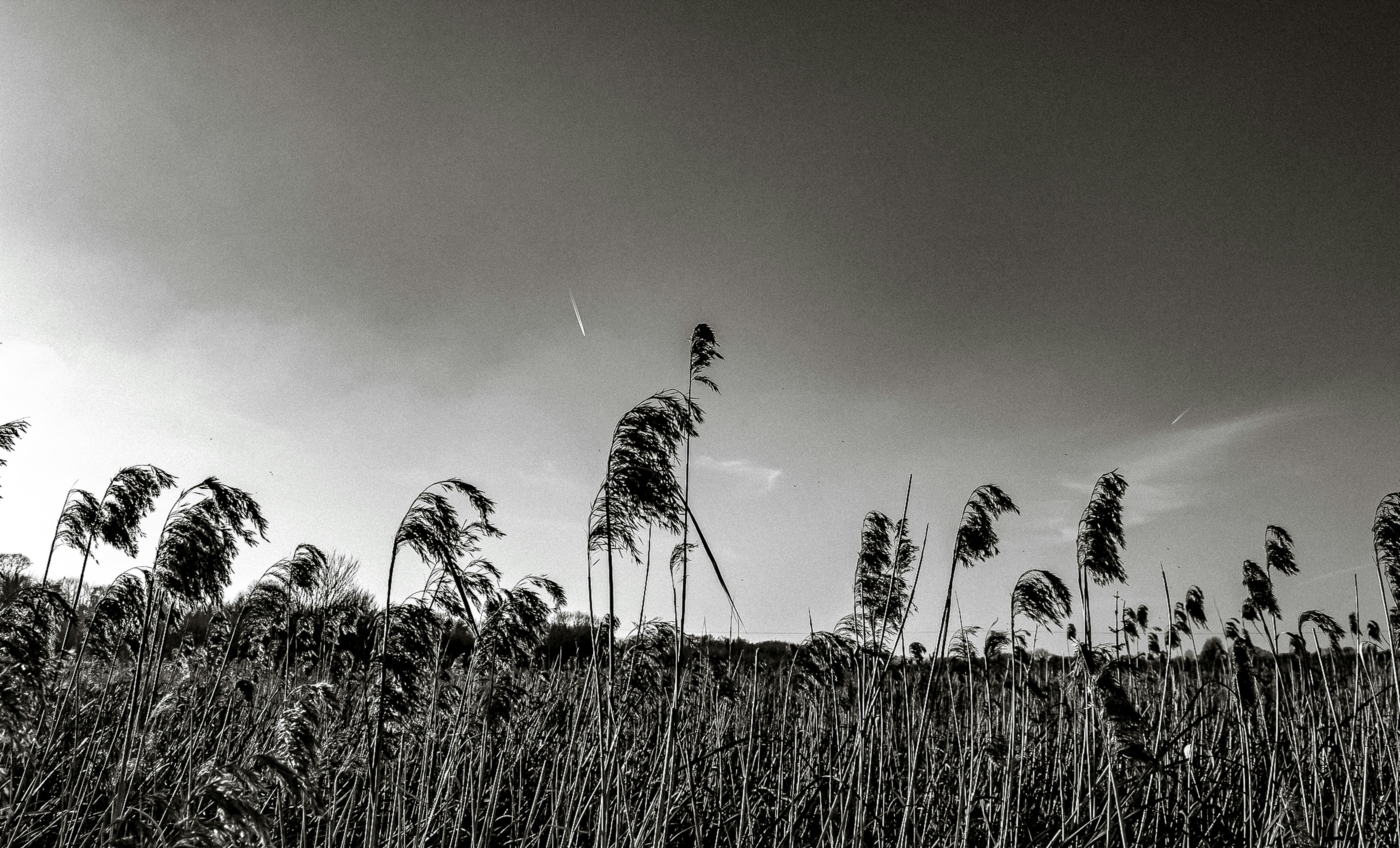 Photo by itsaroadmap