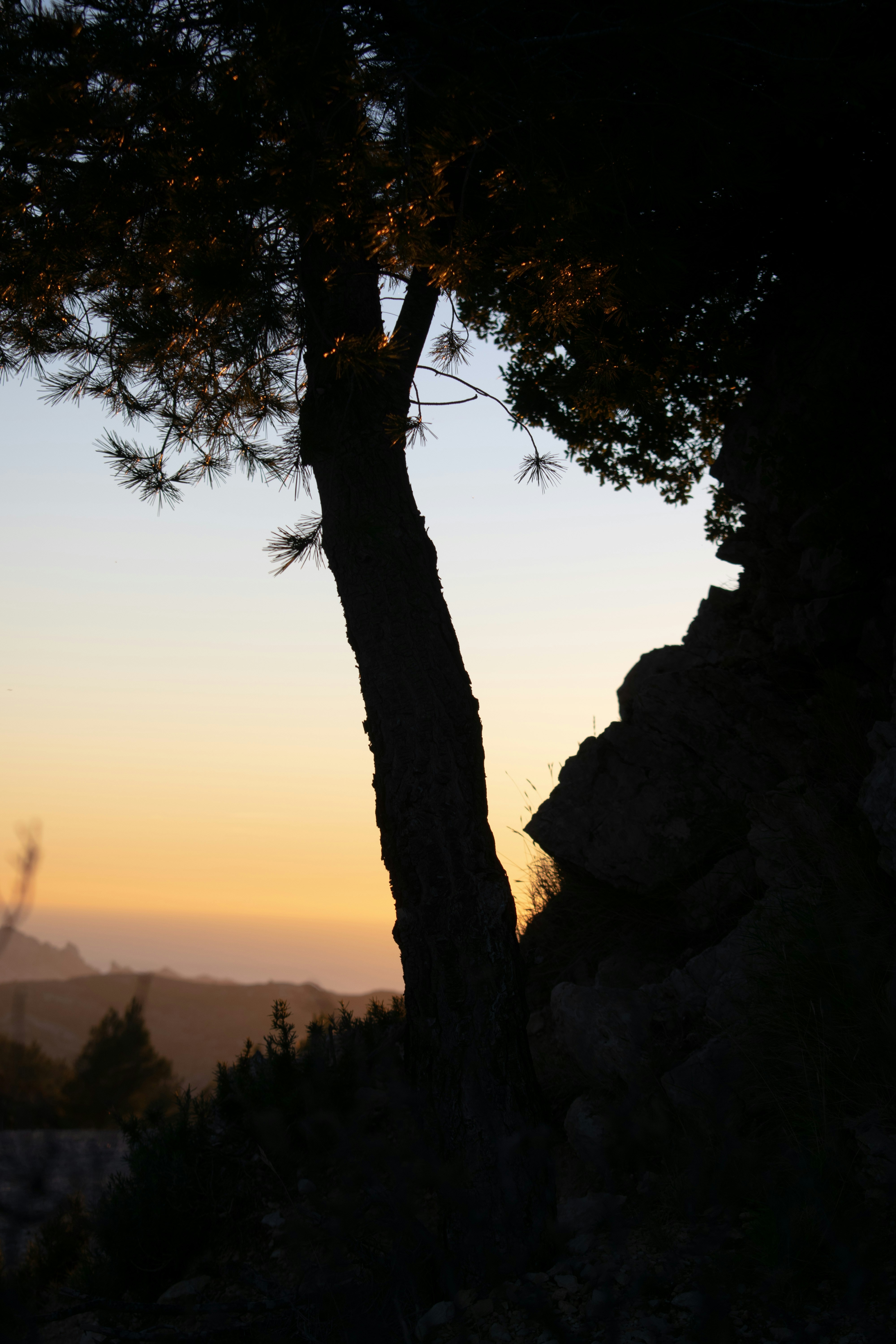 Photo by essai_photo