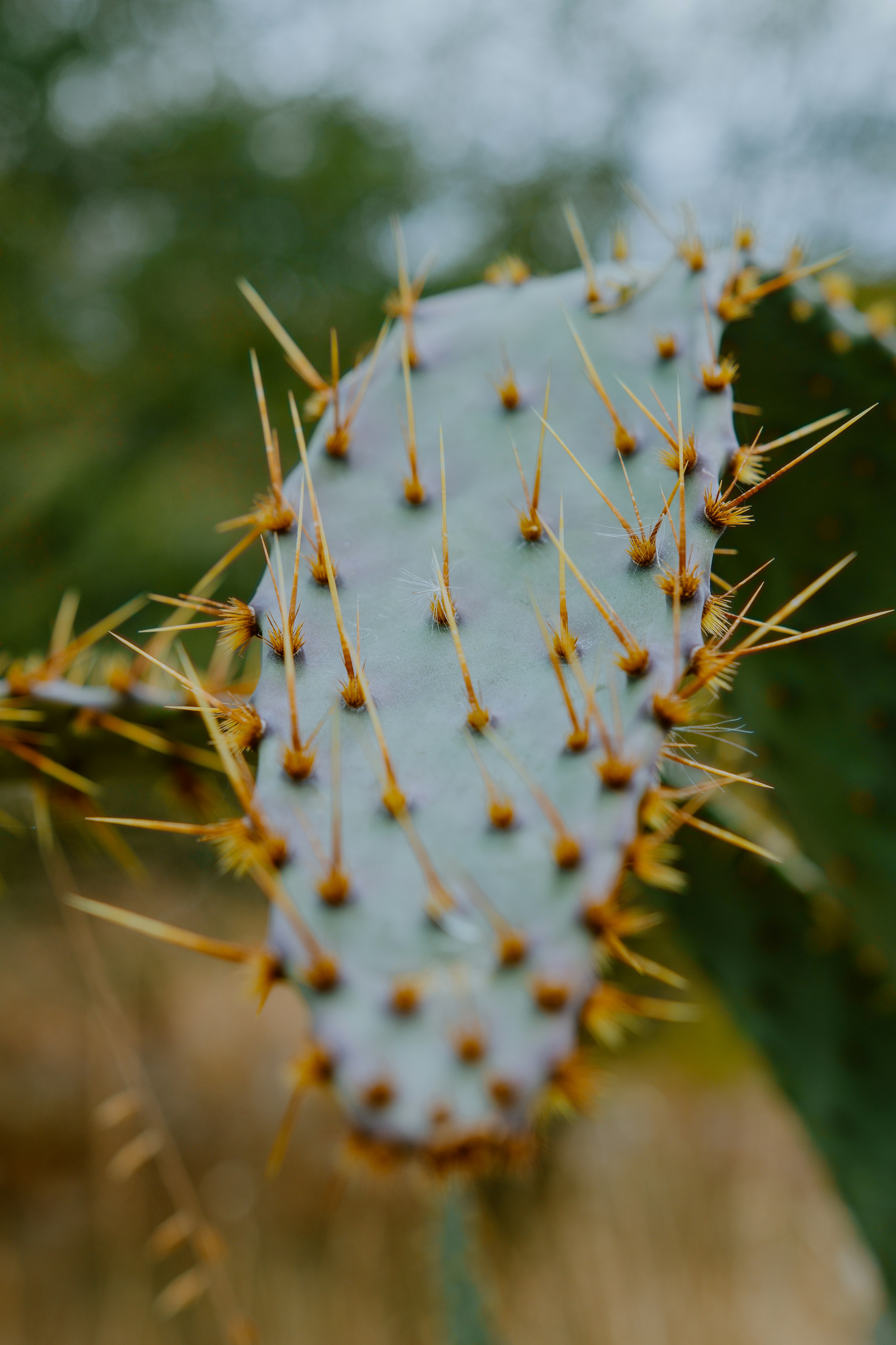 Photo by joseph_royer