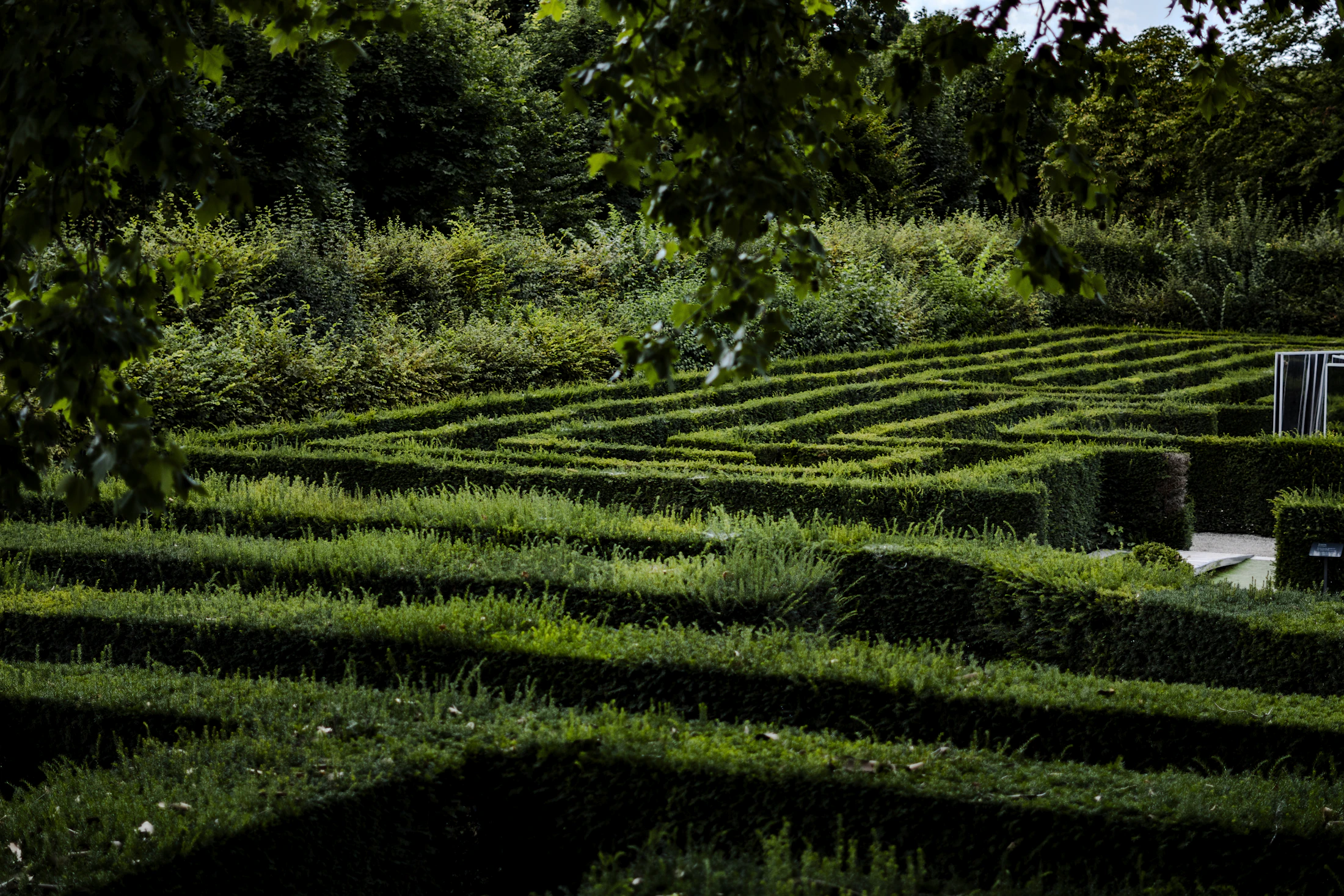 A geometric hedge maze viewed from above, set within a lush green park.