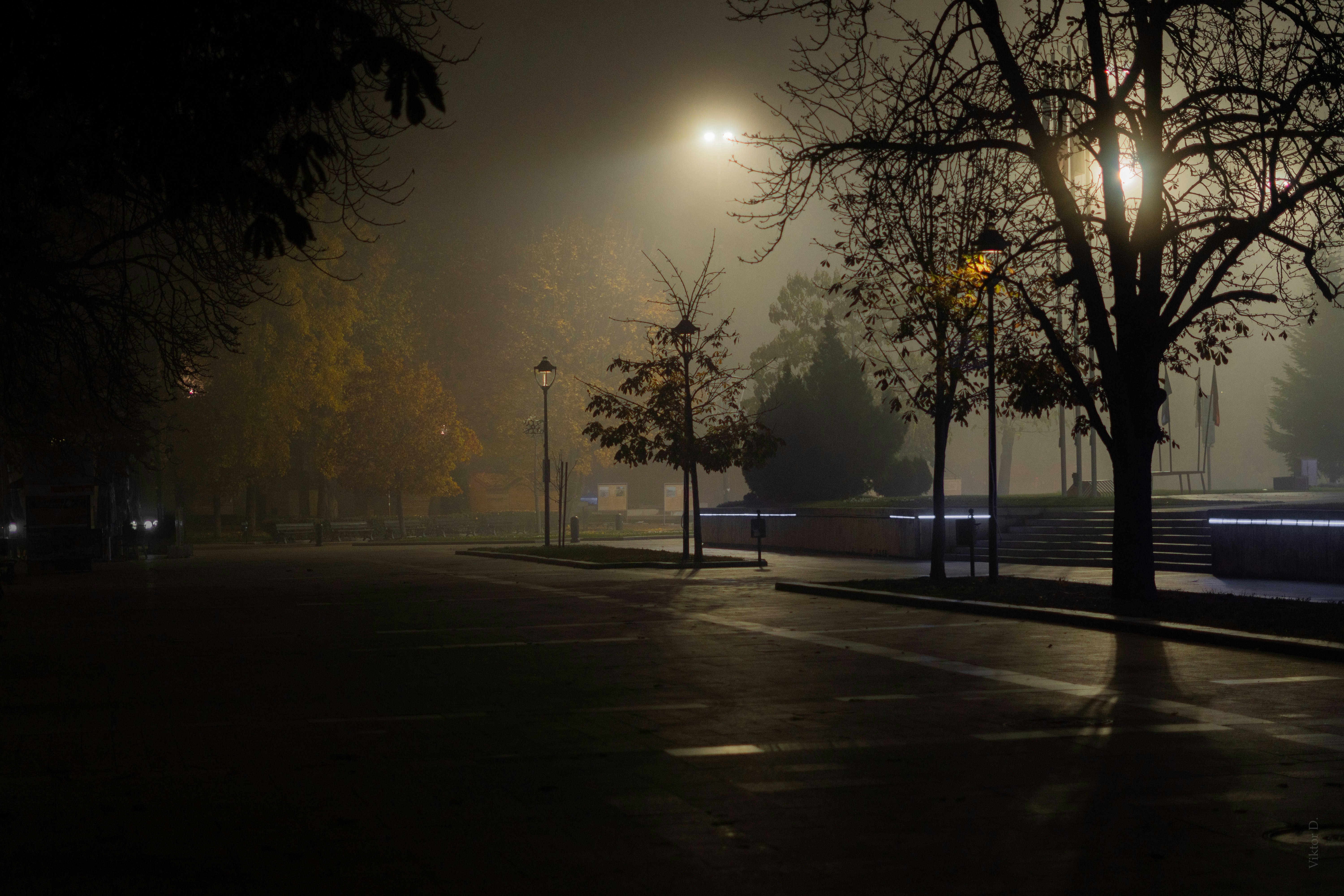 Photo by viktordanov