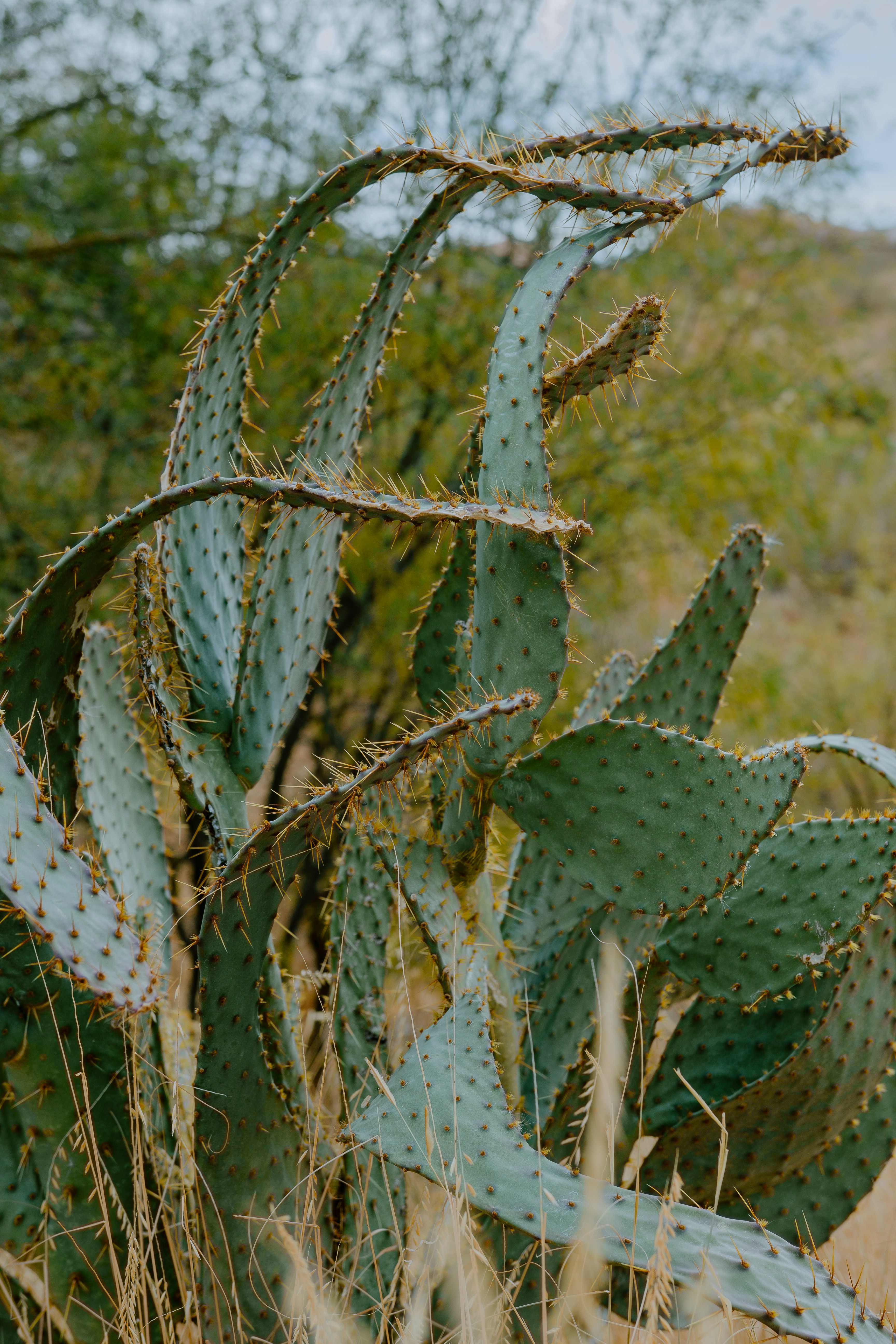 Photo by joseph_royer