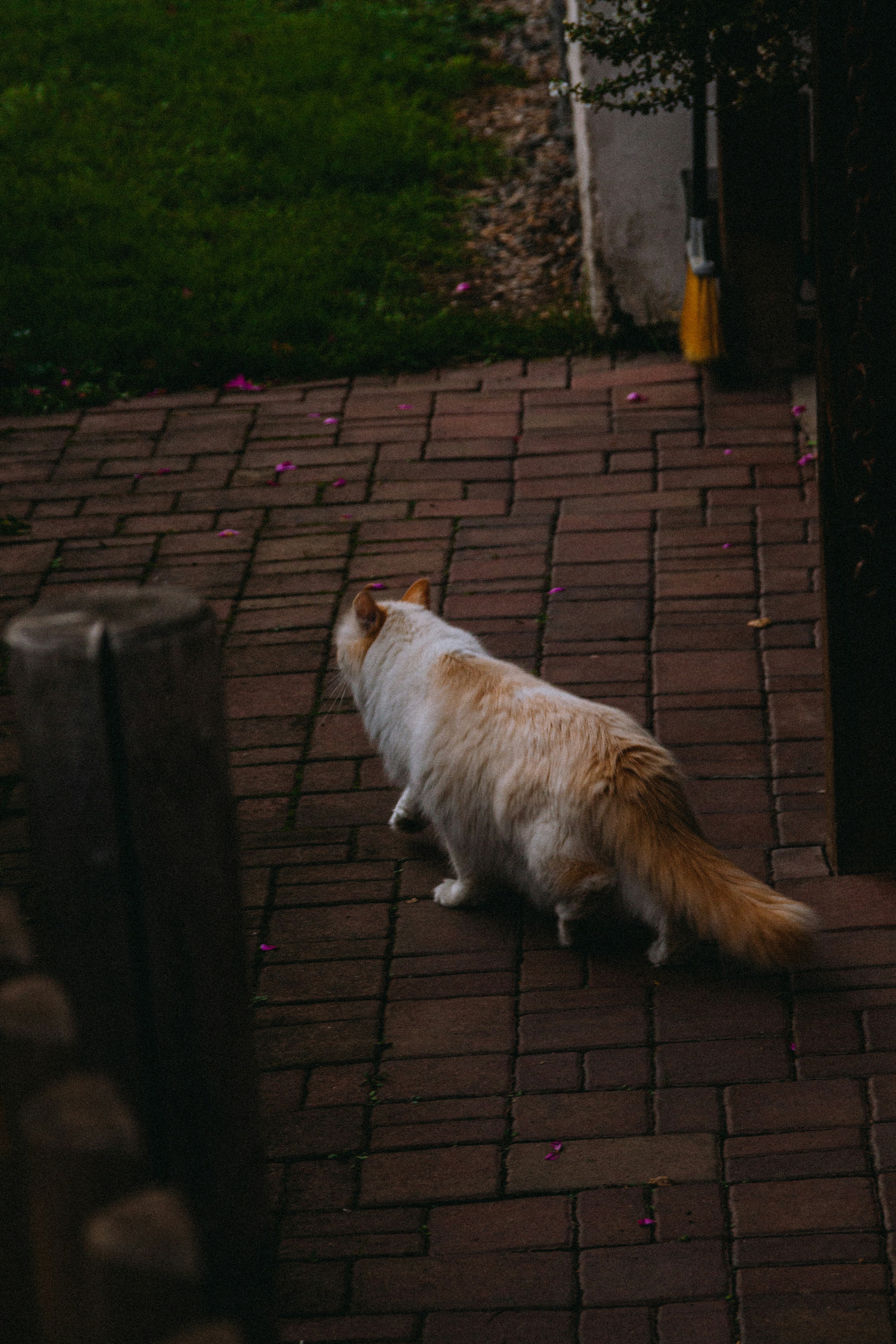 Photo by benkupke