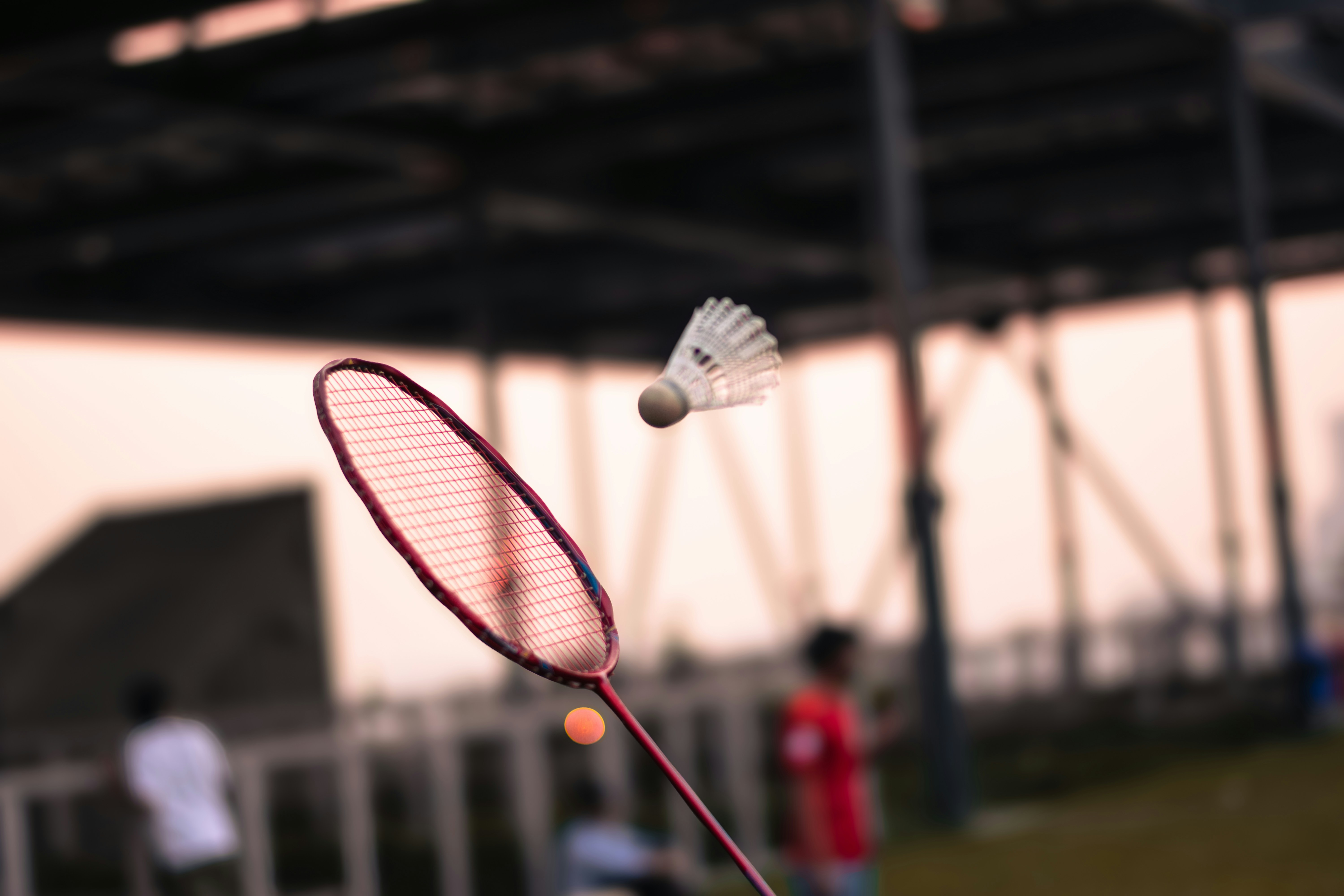 Cover Image for WT Badminton