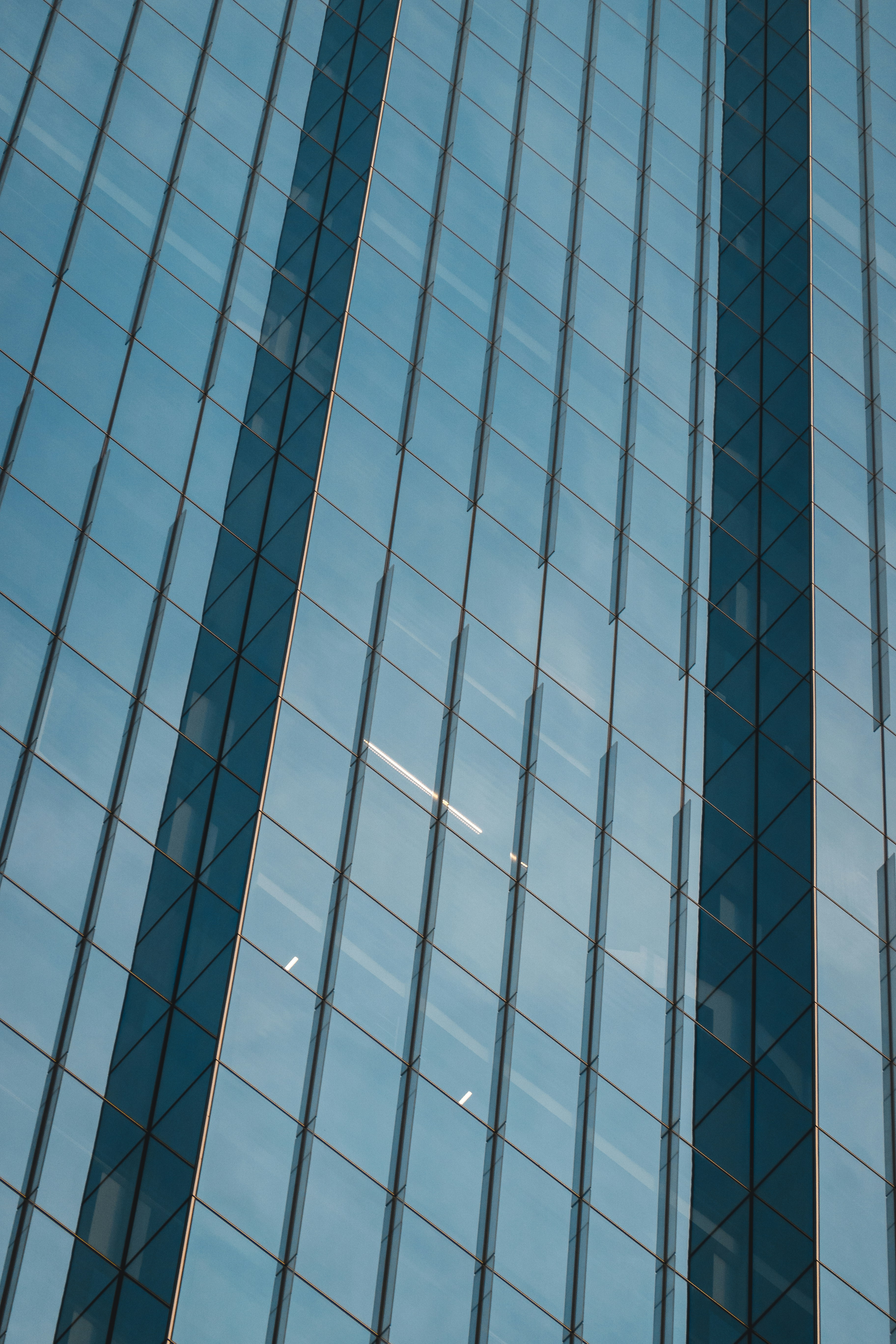 Photo by willianjusten