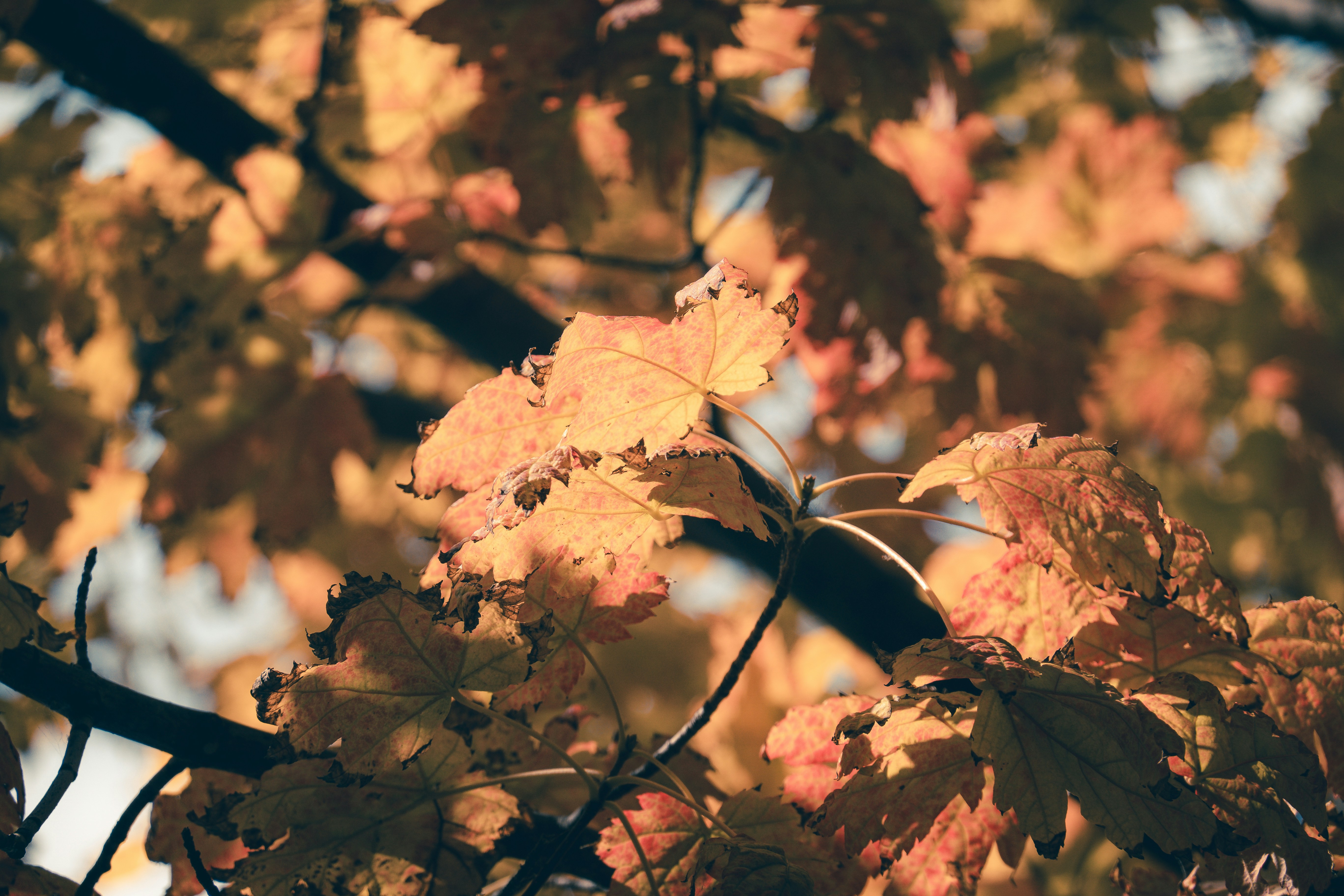 Photo by willianjusten