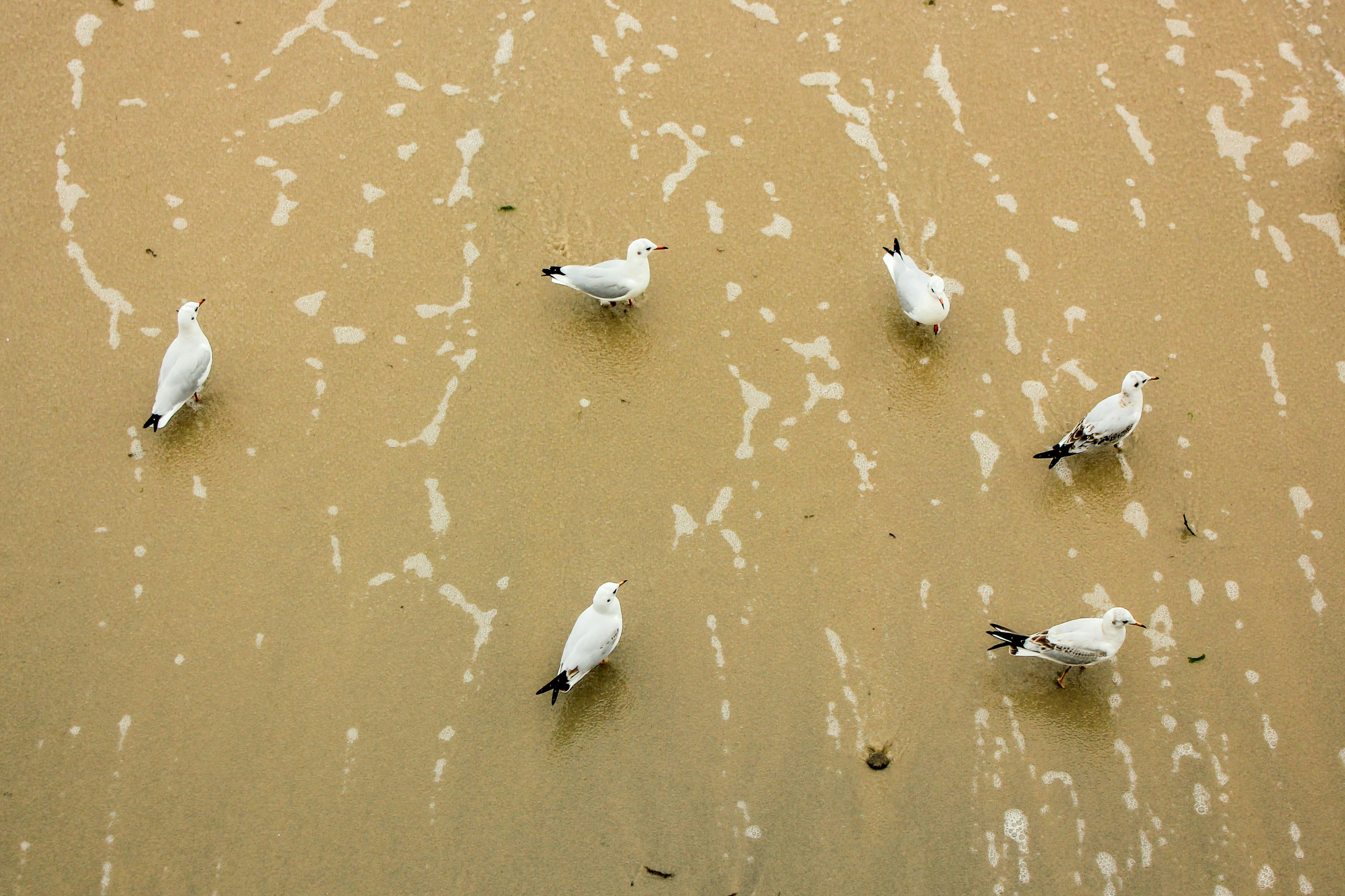 Photo by squirrelinside