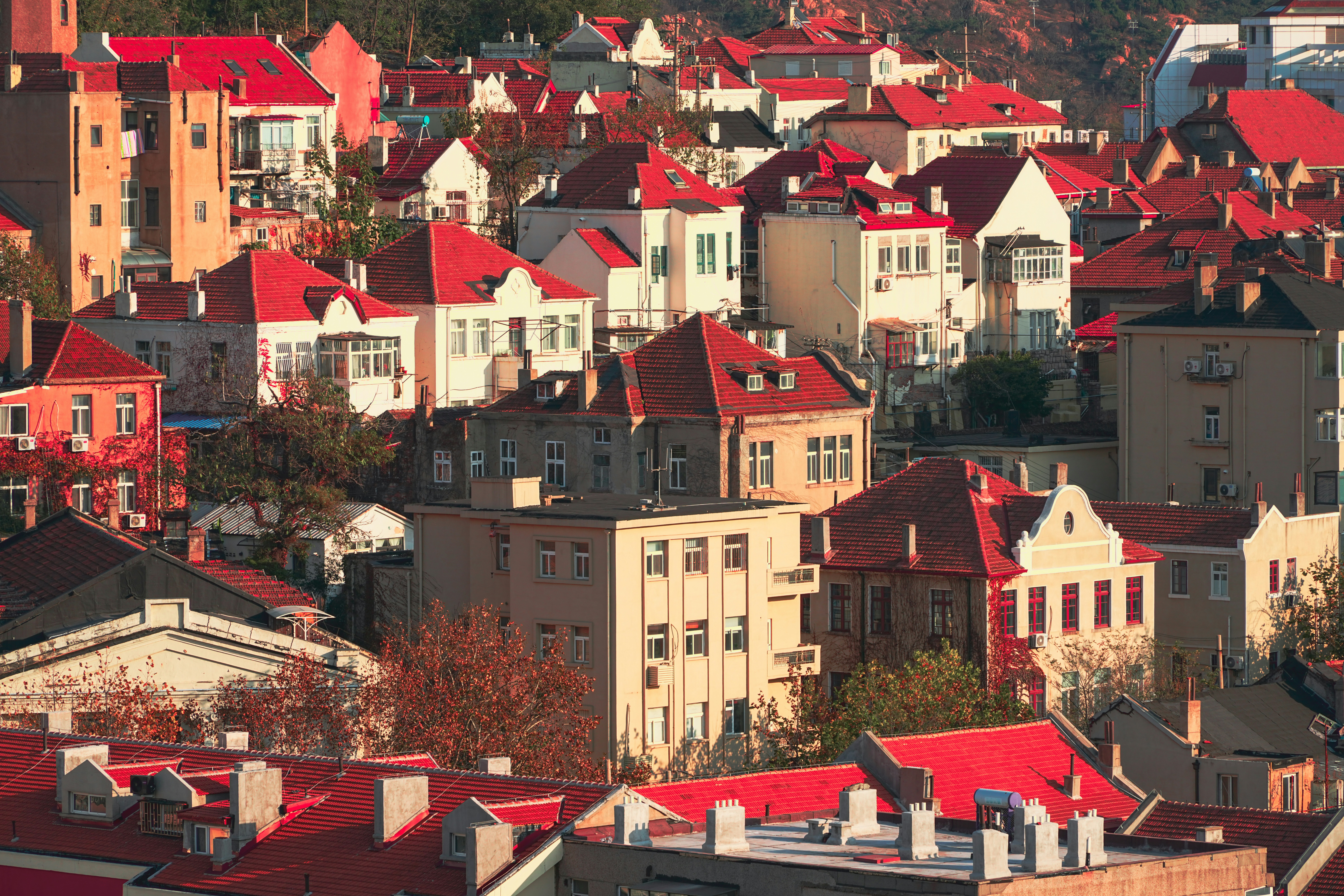 Photo by hattrick1996