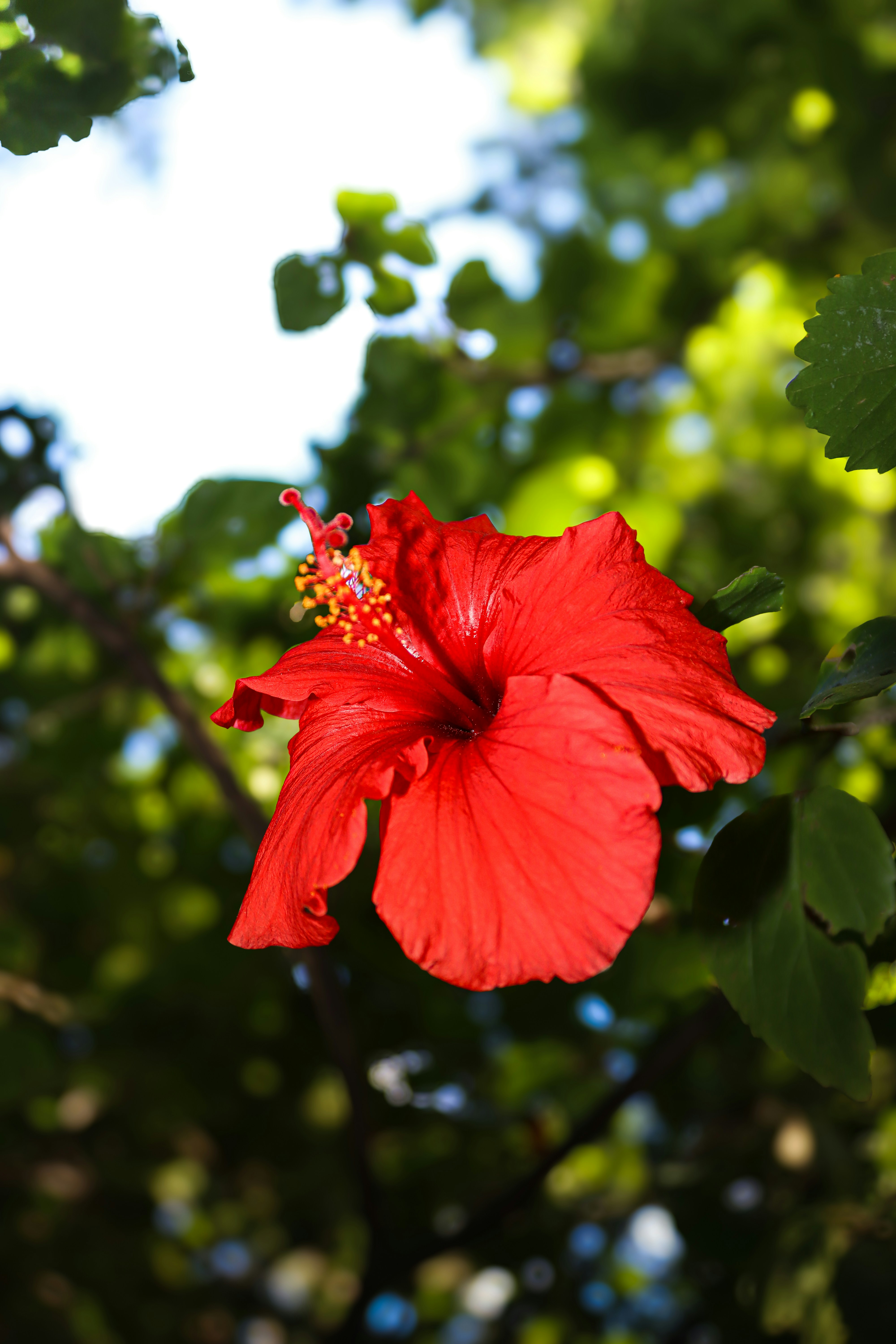 Photo by kcphotographer