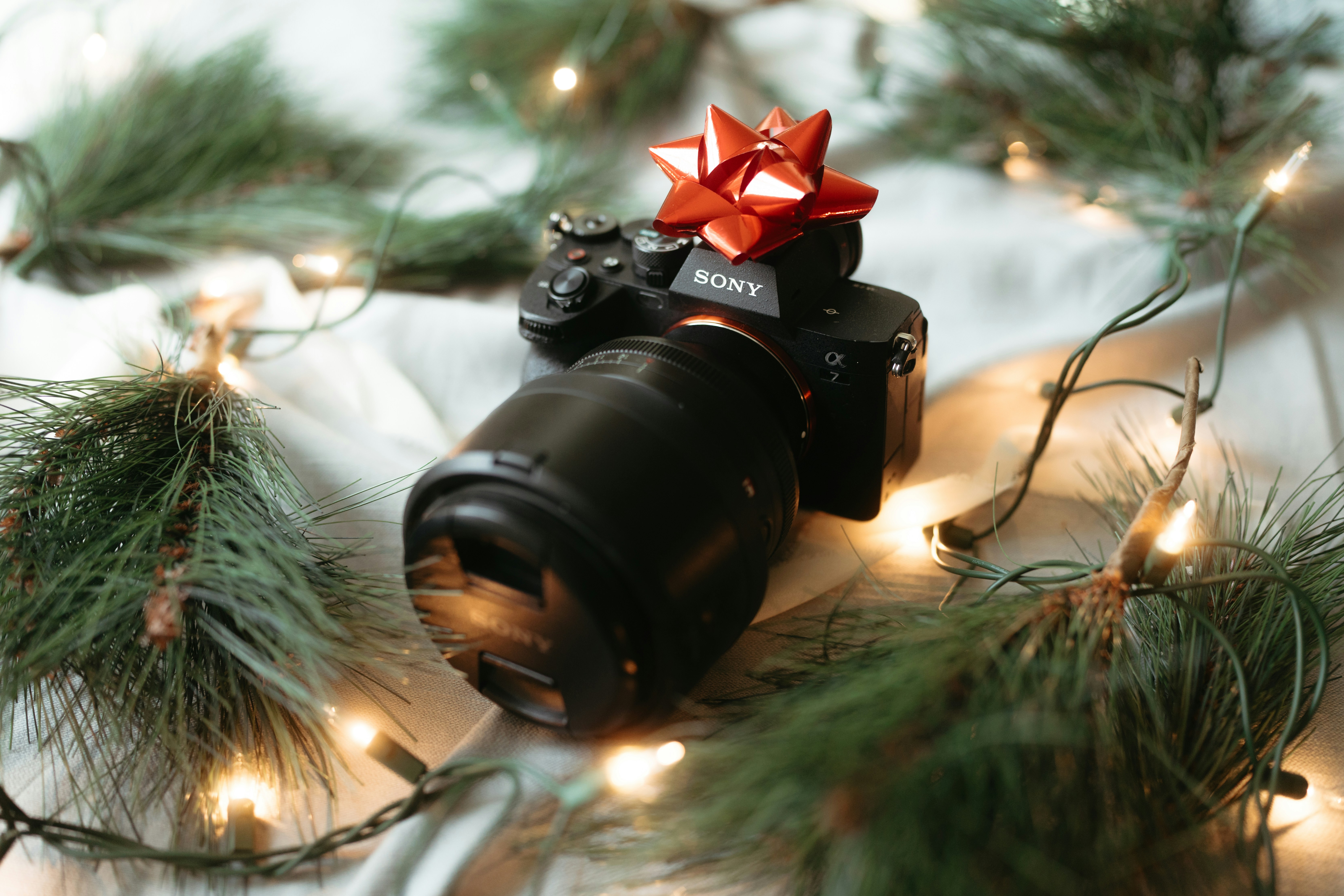 The gift every photographer wants under the tree!