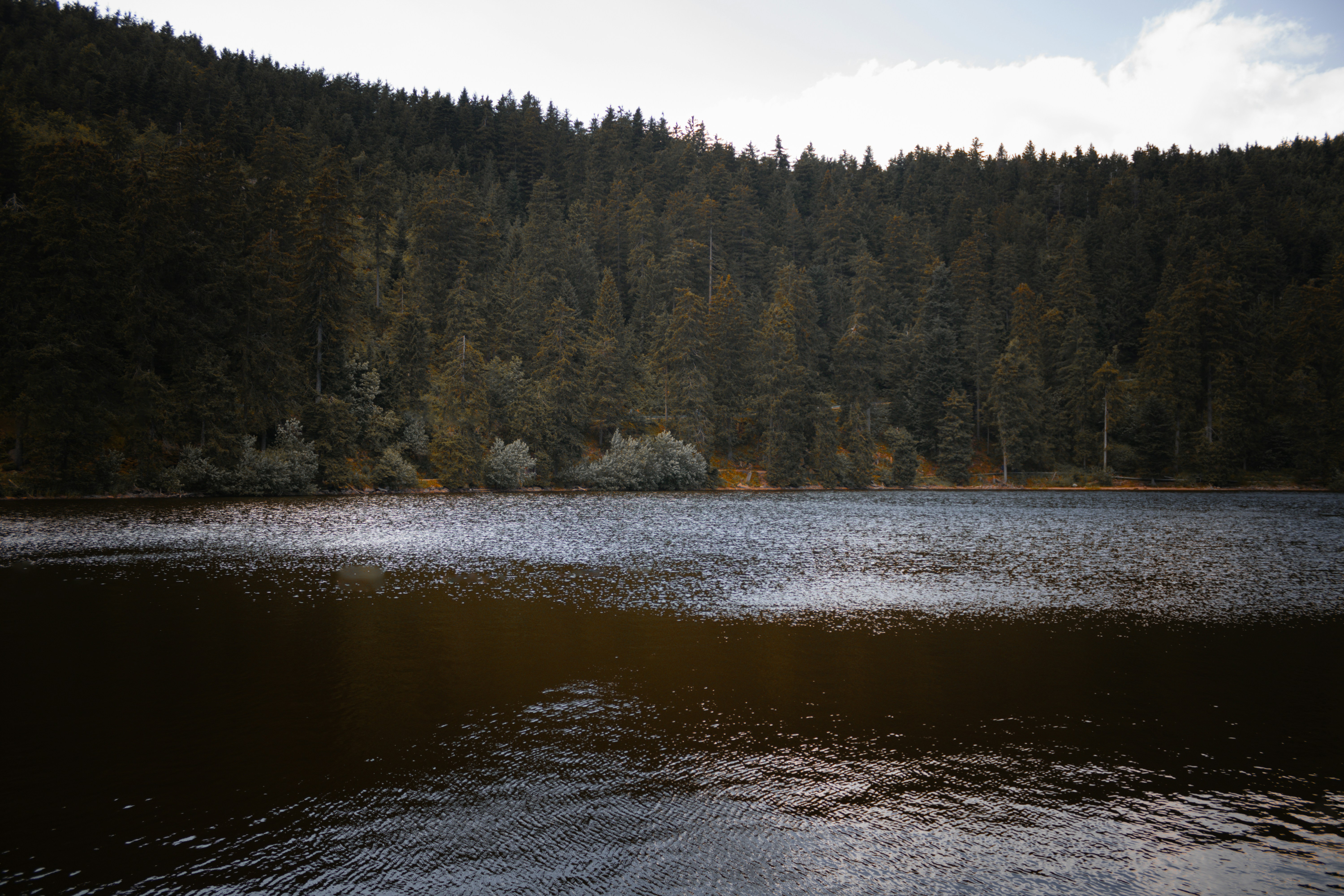 Photo by mihaelstojcevic