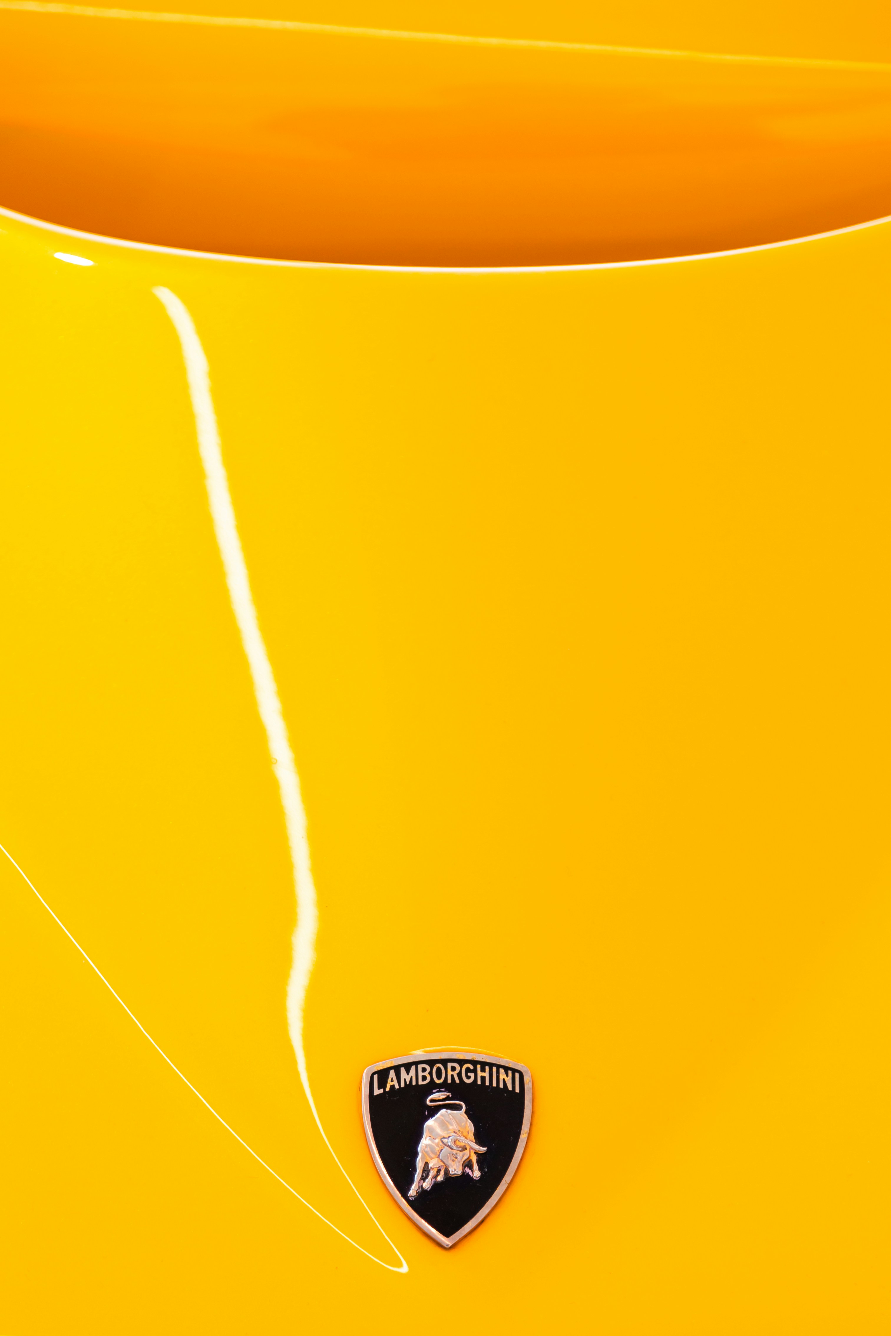 Photo by quentin_martinez