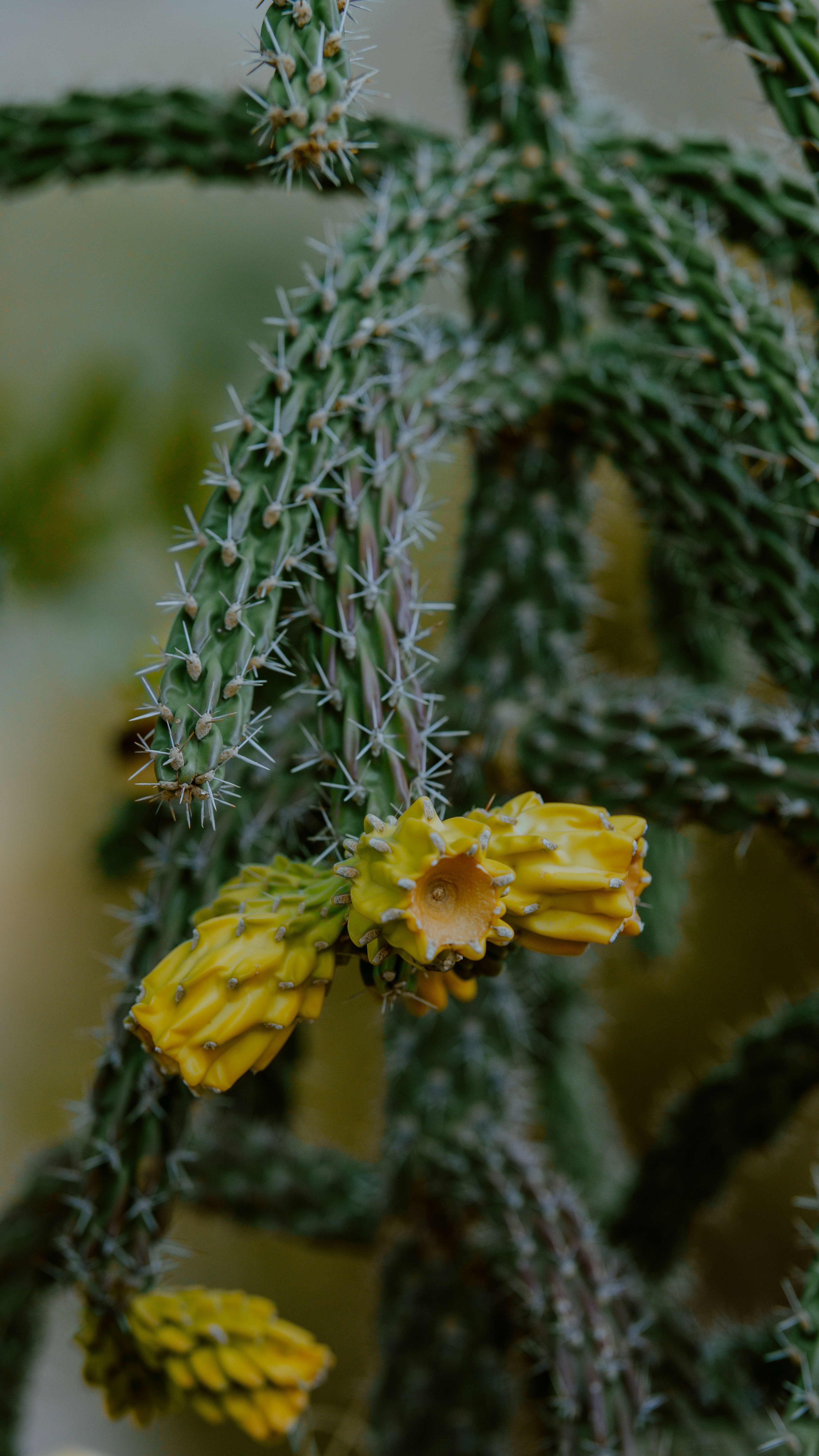 Photo by joseph_royer